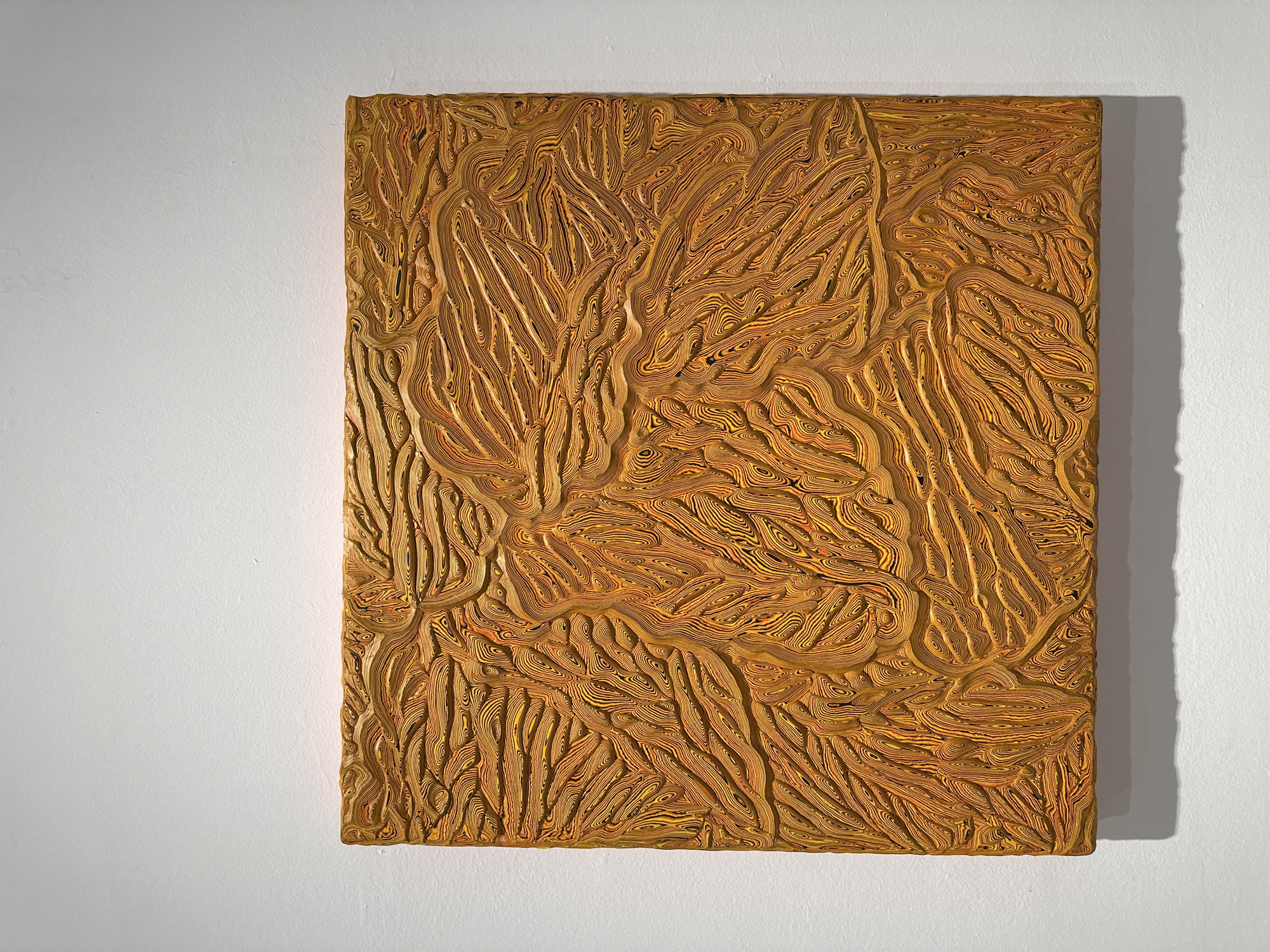The image shows a rectangular, textured artwork hanging on a white wall. The artwork is predominantly brown and gold, with an intricate pattern of closely-spaced, curved lines resembling topographic contours or a cross-section of wood grain. The texture is visibly raised, indicating a three-dimensional quality. The artwork casts a shadow on the wall to the right. The wall appears to be painted with a matte finish. There is no evidence of Banan, China, or any people in the image.