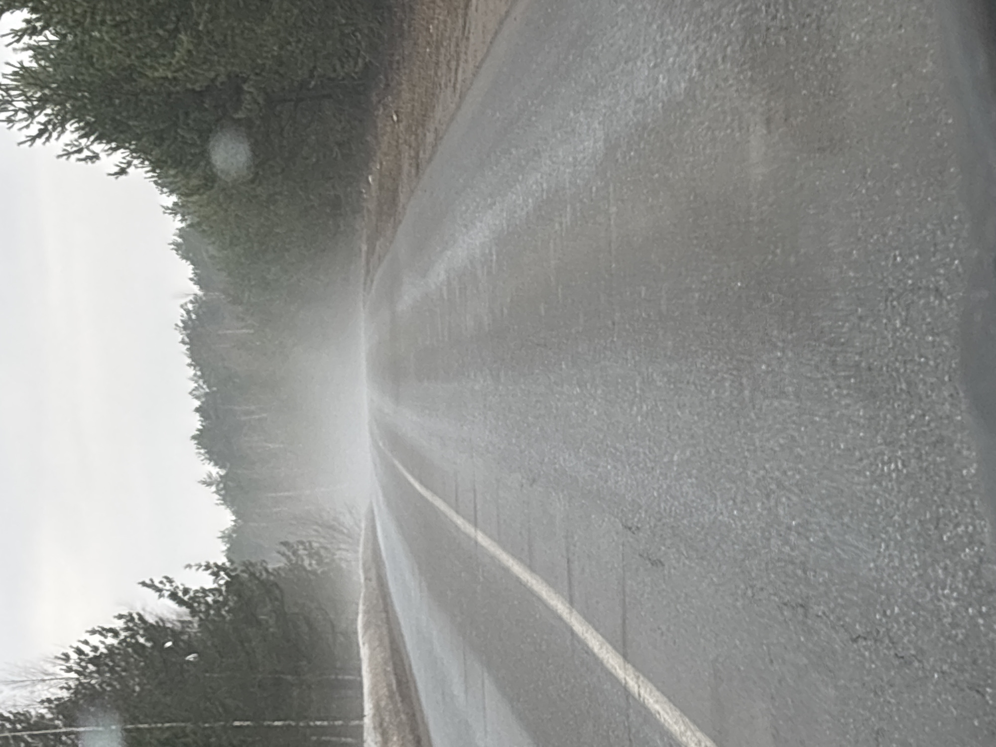 The image shows an asphalt road in Chaikovsky, Russia, possibly wet from rain or snow. A white line marks the road's edge. Trees border the road on the left. The sky is overcast and grey. Mist or fog hangs in the air near the trees.