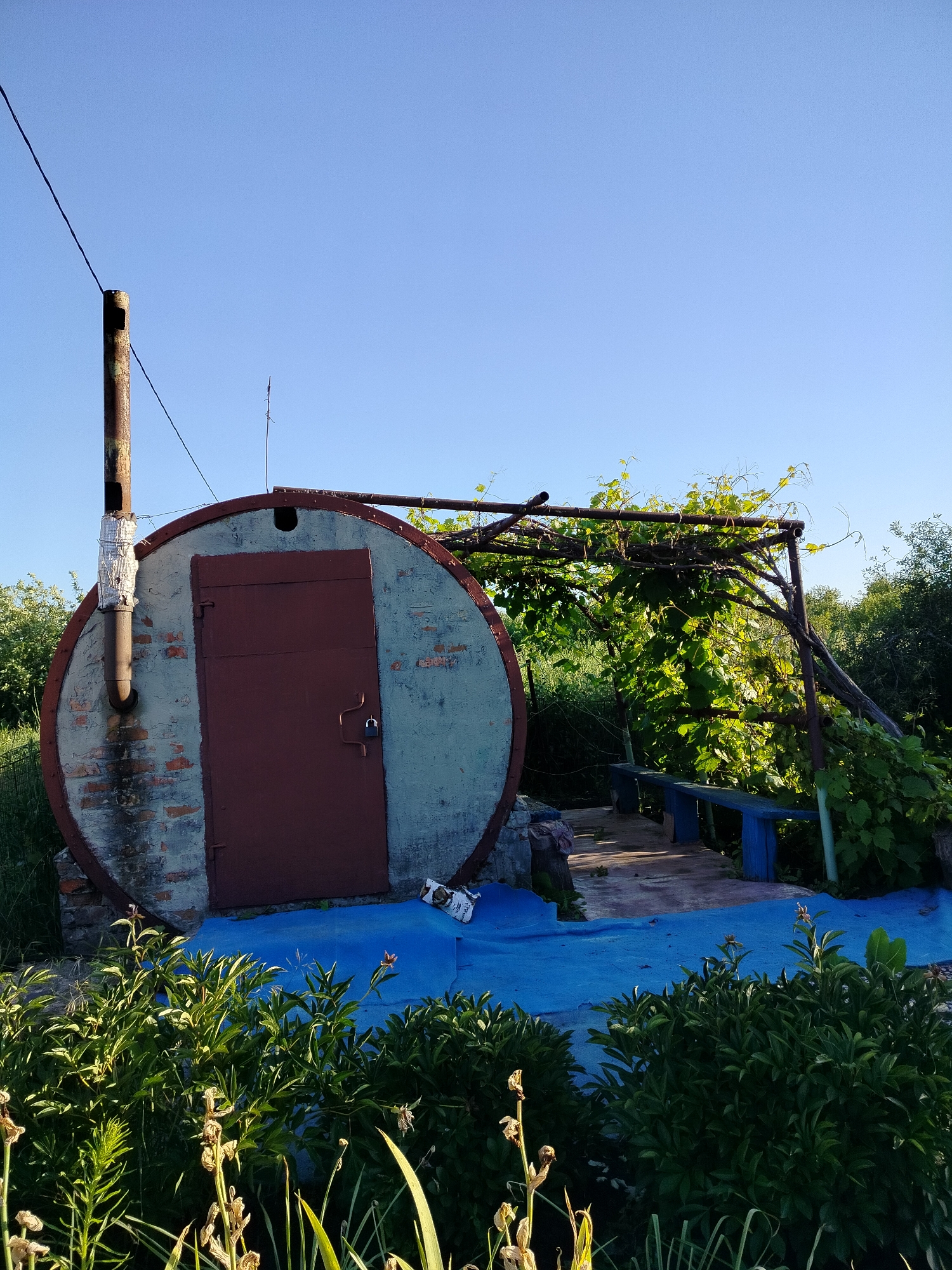 The image depicts an outdoor scene in Vazerki, Russia, under a clear, bright blue sky, suggesting it is daytime with pleasant weather. The central subject is a large, circular, tank-like structure with a dark red metal door, secured by a padlock. A metal chimney pipe extends from the top of the structure, partially wrapped in white material. The tank itself appears to be made of concrete and brick, with areas of peeling paint and brickwork visible.
In front of the tank, a bright blue tarp is spread out on the ground, leading towards a wooden pathway and a blue wooden bench under a trellis covered with green vines, likely grapes. The bench is weathered and appears to be part of an outdoor seating area. Lush green foliage and some dry plants are visible in the foreground, suggesting a garden or yard setting.
To the left of the tank, a thin wire stretches across the sky, connected to the chimney pipe by another wire. The overall impression is of a rustic, possibly utilitarian structure in a rural or suburban backyard. There is no visible text in the image. The scene conveys a sense of calm and quietude, with the bright sunlight casting distinct shadows, further indicating the time of day.