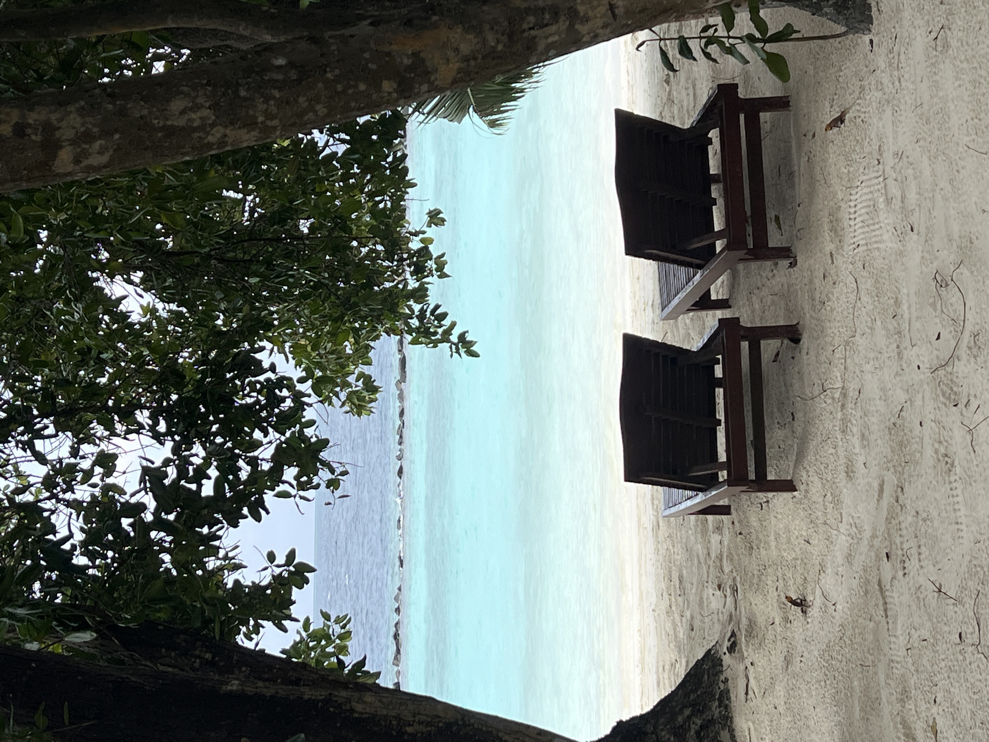 This is an outdoor scene featuring a beach with two lounge chairs in Unknown, Unknown. The chairs are made of dark wood and are placed on white sand. The ocean is visible in the background, with a transition from a darker blue to a light turquoise color. Trees are present on the left side of the frame, partially obscuring the view with their leaves and branches.