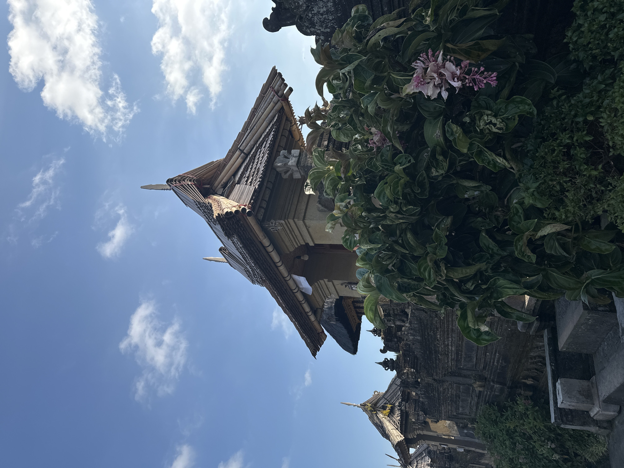 The image captures a view of a temple compound in Bangli, Indonesia, under a bright blue sky with scattered white clouds. In the foreground, lush green foliage with delicate pink flowers obscures part of the scene. Behind the vegetation, a stone wall, characteristic of Balinese architecture, forms a boundary. Beyond the wall, traditional temple structures with tiered, thatched roofs rise against the sky. The main structure features intricate bamboo detailing on its roof and a carved stone ornament at its apex. In the distance, another similar temple structure is visible, suggesting a larger temple complex. The lighting suggests it is daytime, possibly morning or late afternoon, given the angle of the sun.