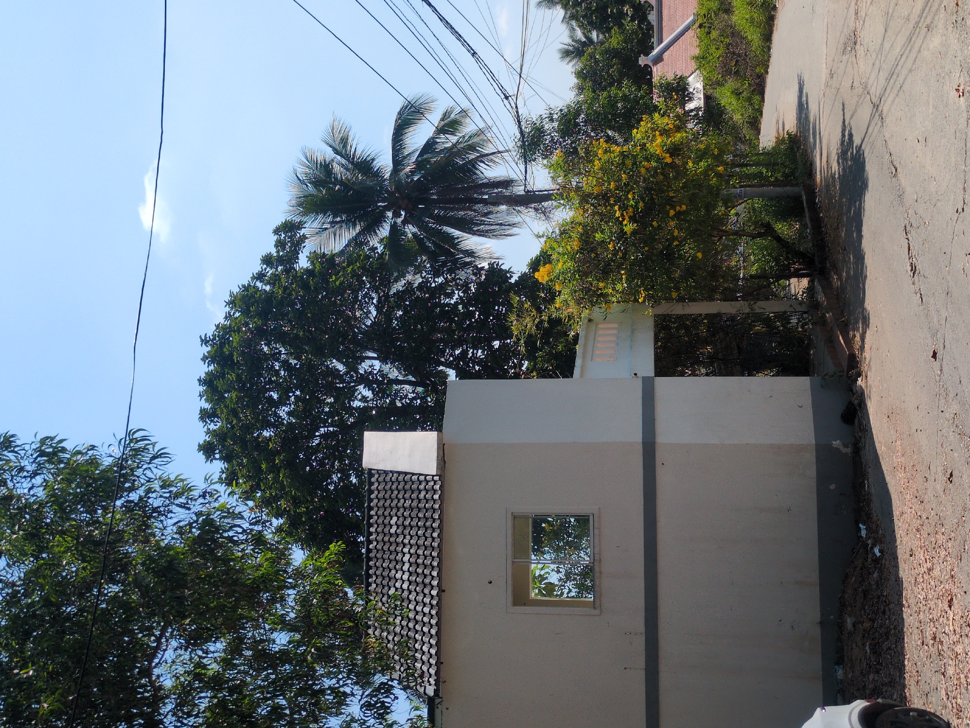The image shows a street scene on the island of Phú Quốc, Vietnam. A light-colored building with a small window is present on the right side of the image. Lush greenery, including trees and a palm tree, surrounds the building. Overhead power lines are visible against a blue sky. The road is paved with a concrete/asphalt mixture. The scene is typical of urban areas in tropical climates. There are no people visible in the image.