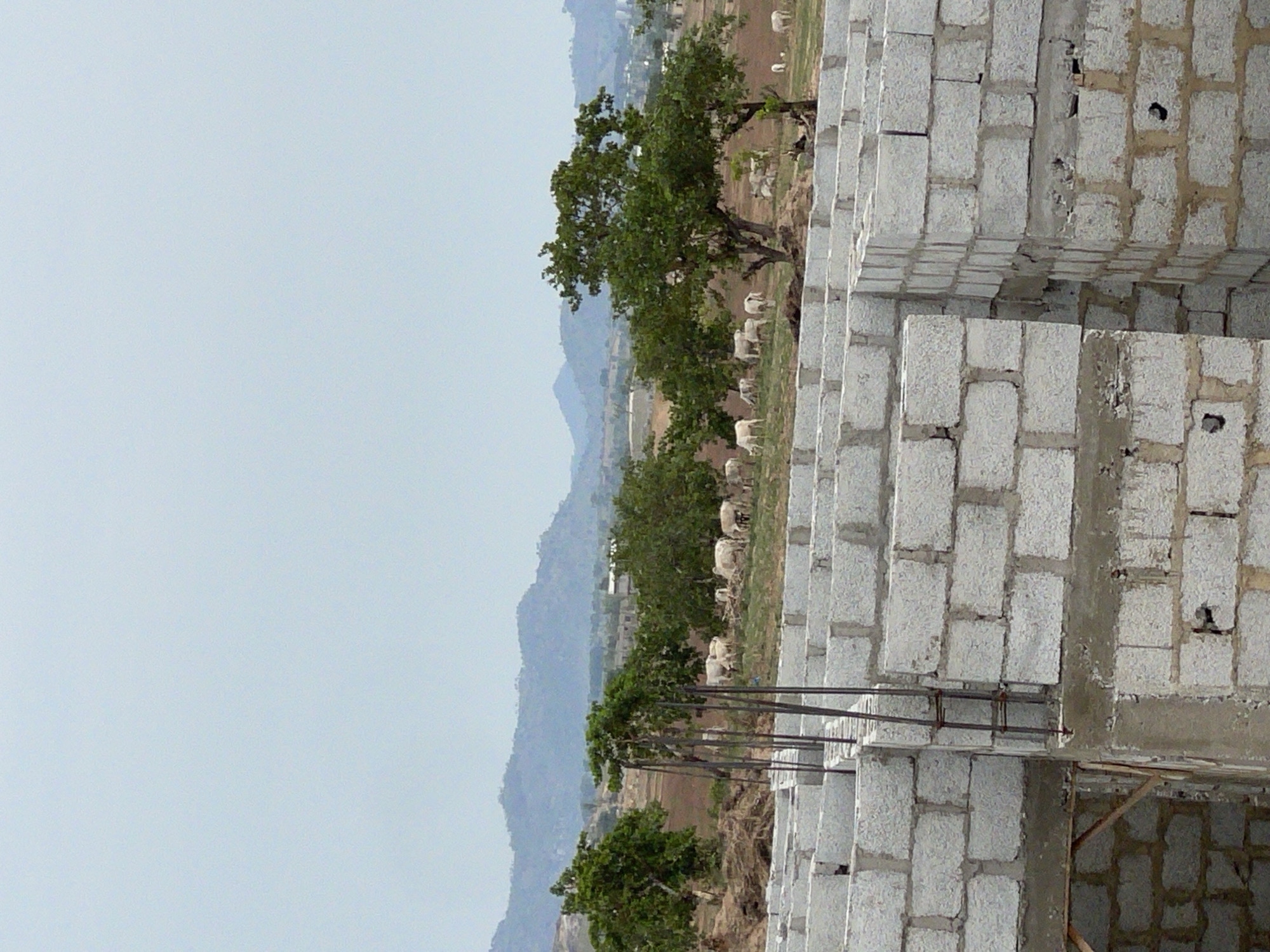 The image, taken in Angwan Sayawa, Nigeria, shows a partial view of a building under construction. The structure is being built with concrete blocks. In the background, a field is visible, where cattle are grazing. A line of trees separates the construction site from the field. Distant hills are visible under a light gray sky.