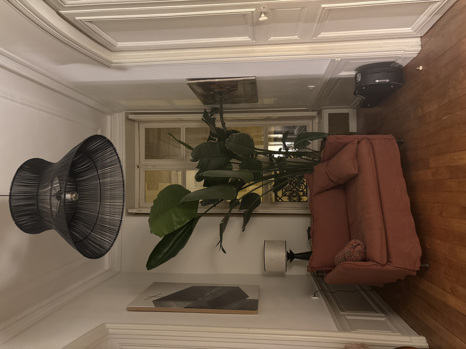 This image depicts a static interior scene within an apartment in Paris, France, exhibiting architectural characteristics common to Haussmannian buildings. A black, bell-shaped pendant light fixture, constructed from woven material, hangs centrally from the white ceiling, which features intricate crown molding. The floor is composed of polished light brown hardwood.
Against the left wall, a terracotta-colored, slipcovered loveseat is positioned. It features two seat cushions and a cylindrical bolster pillow with a patterned textile. Adjacent to the loveseat, a dark-toned side table supports a table lamp with a dark base and a light fabric shade. A large plant, consistent with a Strelitzia nicolai, with broad green leaves, stands directly in front of a tall, white-framed double window. The window's interior shutters are open, revealing exterior reflections of an adjacent building and a decorative wrought-iron balustrade.
An abstract geometric artwork, framed in light wood, is mounted on the upper left wall. A white paneled door is partially visible on the right side of the frame. To the right of the loveseat, a black, hard-shell instrument case rests upright on the hardwood floor. A small, white, conical object lies on the floor near the instrument case. A second, smaller, darker artwork is visible on the right wall. No individuals are present in the scene. The specific address or arrondissement within Paris cannot be determined.
