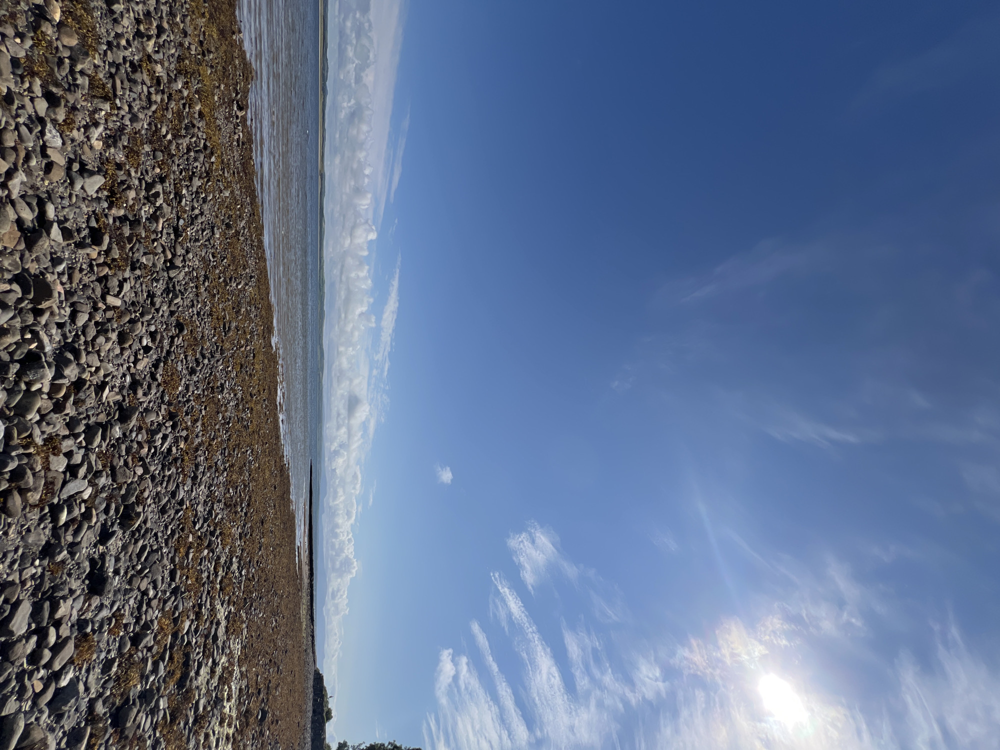 An eye-level, vertical shot captures a pebble beach stretching towards a calm body of water under a bright blue sky. The foreground is dominated by a dense scattering of grey and brown pebbles, interspersed with dry seaweed. The water's surface reflects the sky, with a distant shoreline visible as a faint, undulating line of green hills under a band of white clouds. wispy clouds drift across the upper portion of the frame. The sun, a bright, intense white disc, is positioned in the upper right corner, casting a lens flare and illuminating the sky with a subtle reddish-orange hue. To the far right, a dark green tree is partially visible against the bright sky. The scene appears to be a natural coastal environment.