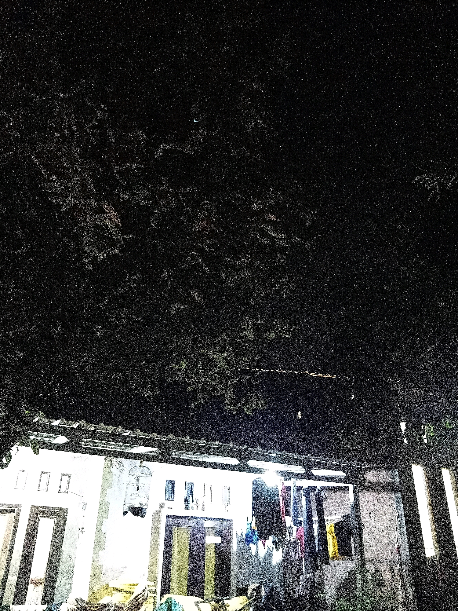 The image depicts a nighttime scene in Cikal, Indonesia. In the foreground, dark foliage obscures the upper portion of the frame. Below, a building with a corrugated roof is visible. The building has white walls and multiple windows, some of which are lit from within. A birdcage hangs from the roof in front of the building, containing a small bird. Laundry hangs on a clothesline under the roof, with several garments visible. To the right, a brick wall forms part of the structure. The scene is dimly lit, with artificial light sources providing illumination to the building and the hanging clothes.