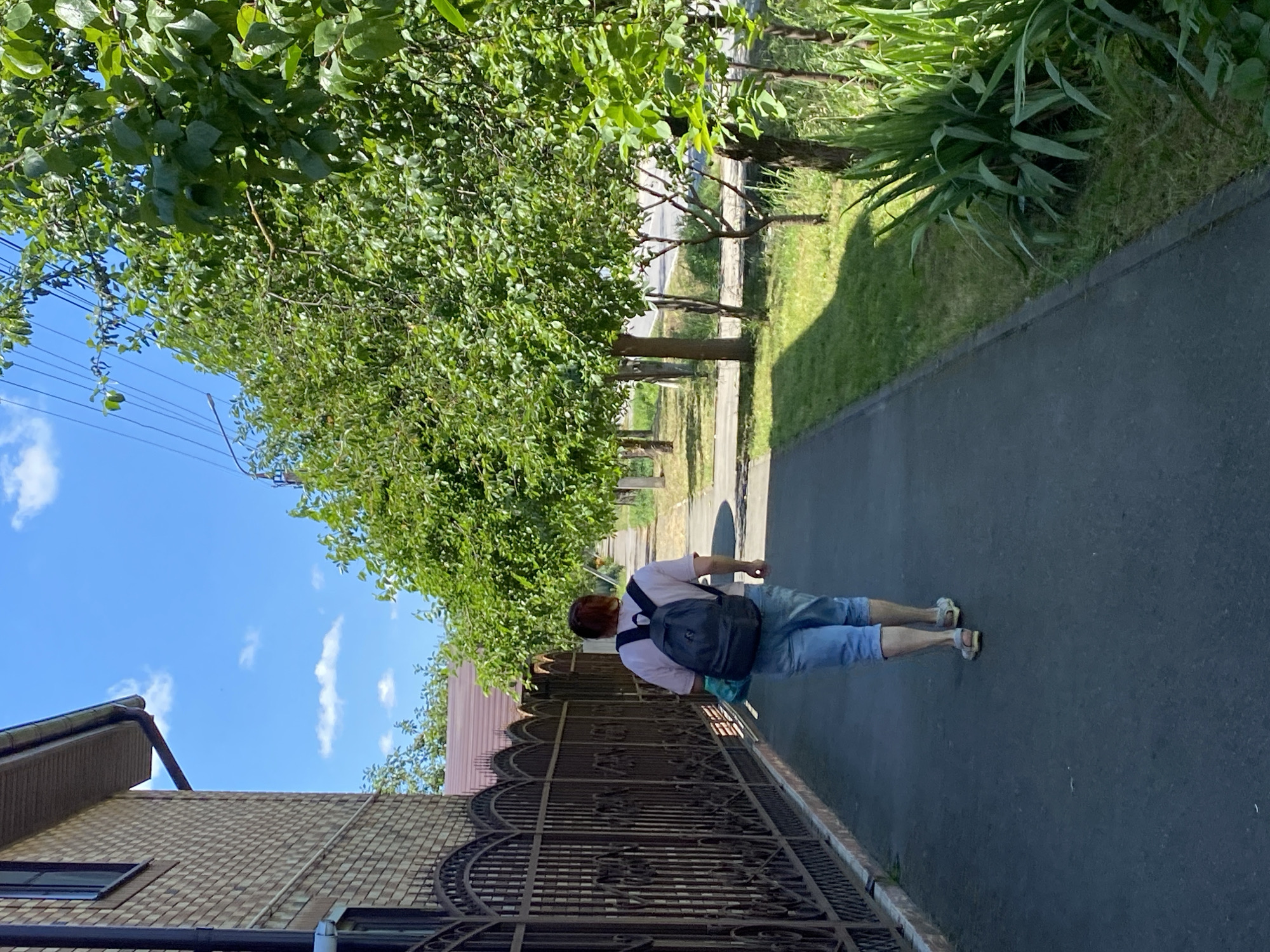 A person is walking away from the camera on a paved sidewalk. They are wearing a pink t-shirt, blue denim shorts, and light-colored sandals. A black backpack is on their back, and they are carrying a light blue bag in their left hand. The sidewalk is next to a tall, brown brick fence with decorative metalwork on top. To the right of the sidewalk, there is a grassy area with several trees and some bushes. The trees are leafy and green, and the sky above is bright blue with a few scattered white clouds. The overall scene suggests a sunny day in a suburban or semi-rural area.