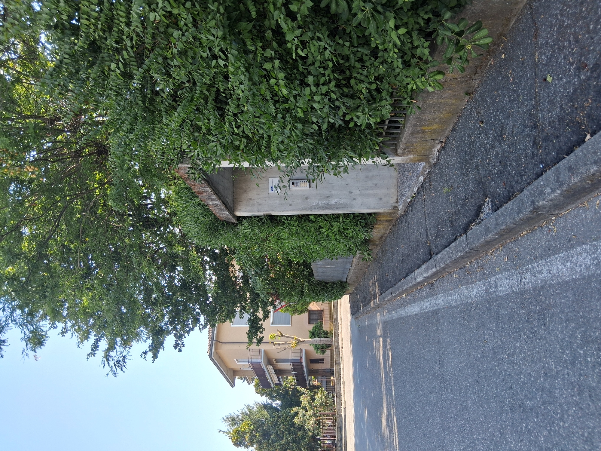 A street scene in Colorno, Italy. On the right, a dense green hedge partially obscures a concrete structure with a doorbell system. A metal fence runs along the base of the hedge. To the left, a sidewalk of dark asphalt with visible cracks is bordered by a concrete curb. Beyond the sidewalk, a paved road is visible with a white line marking its edge. In the background, a light-colored multi-story building with balconies and windows stands amidst trees. The sky is clear and blue.