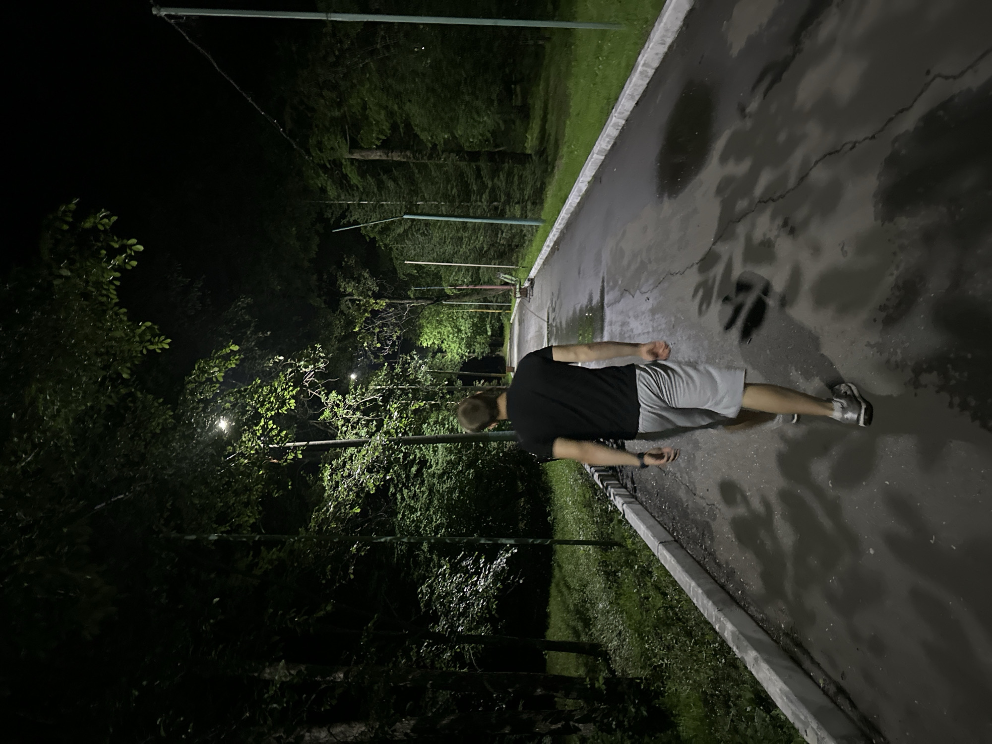 The image shows a person in a plank position on a wet asphalt path at night. The person is wearing a black t-shirt and grey shorts. The path is illuminated by streetlights, casting shadows on the ground. To the left of the path is a grassy area with trees and more streetlights visible in the background. The overall scene suggests an outdoor exercise session in a park-like setting at night. The wetness of the asphalt indicates recent rain or dew. The darkness of the night, coupled with the artificial lighting, creates a somewhat dramatic atmosphere. There is no visible text in the image. The setting appears to be in Birobidzhan, Russia.