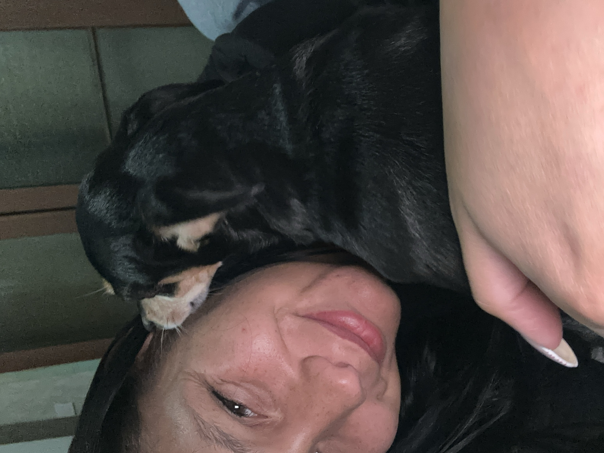 An intimate, rotated close-up captures a tender moment between a woman and a small, black dog in what appears to be an indoor setting. The woman, with dark hair, light complexion, and a gentle, contented smile, looks towards the viewer. Her face shows natural skin texture and some freckles, complemented by subtle eyeliner and lip tint. A small black dog, possibly a chihuahua or similar breed, is nestled affectionately against the woman's head and neck. The dog's head, featuring shiny short fur and tan/white markings around its muzzle, rests comfortably near her ear, signifying a close bond.
A portion of the woman's hand, displaying manicured nails with a light-colored polish, is visible on the right side of the frame. The background is softly blurred and dimly lit, suggesting artificial light or an evening scene. Faint, dark green or brown rectangular shapes, possibly part of a wall or furniture, are discernible in the background. The image conveys strong emotions of affection, comfort, and companionship between the woman and her pet. No visible text is present. The setting is indoors, within Sofia, Bulgaria.