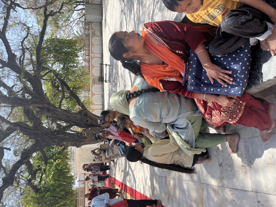 The image shows a group of people sitting on a bench and the ground beneath a large tree. The scene is outdoors, on the grounds of a temple in Panchkula, India, which is located at the coordinates (latitude: 30.722, longitude: 76.856).  There are nine people in the photo.  A young girl sits in the lap of a woman wearing a light blue salwar kameez.  To the girl's left, there are two women sitting on the bench. The woman on the left is wearing a white shirt and the woman on the right is wearing an orange shawl and a maroon shirt. To their right is a man wearing a yellow shirt and blue jeans. There is a large tree behind the bench and the scene is lit by the midday sun.