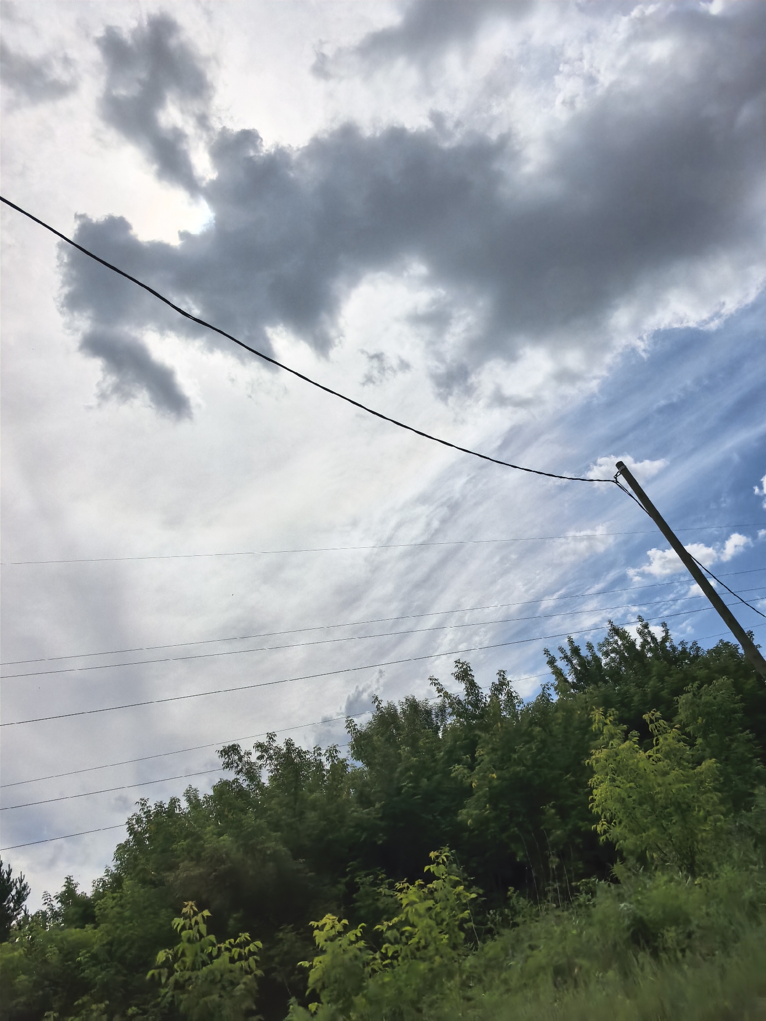 The image depicts a view of overhead power lines and trees against a cloudy sky. A single wooden utility pole stands on the right, supporting several wires. The sky is a mix of dark, heavy clouds and lighter, wispy clouds. Below the wires, a dense line of green trees and vegetation forms a border along the bottom half of the frame. The scene appears to be an outdoor, possibly rural or suburban, setting.