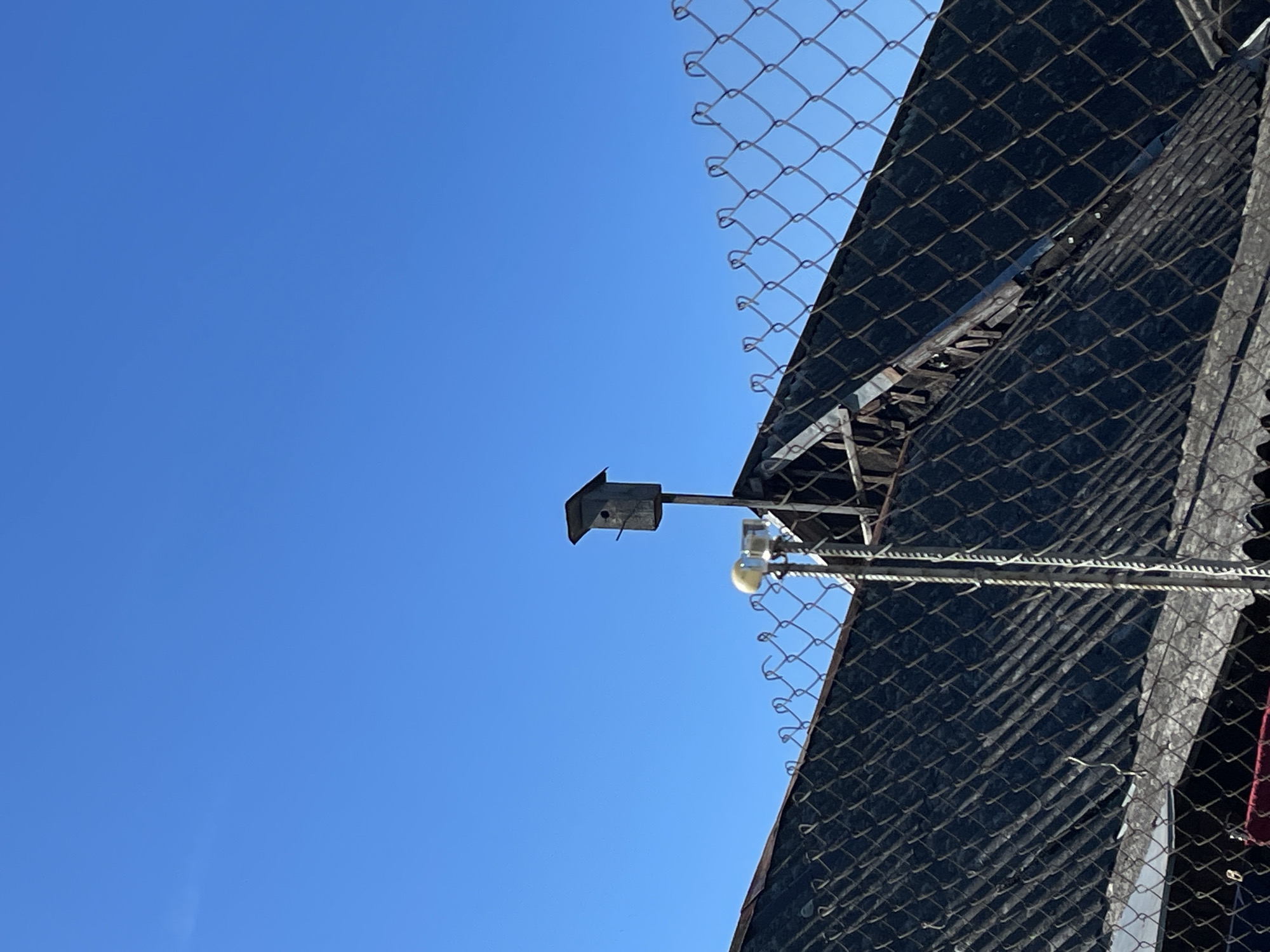 The image captures a view looking upwards against a bright, clear blue sky, suggesting a sunny day. The primary subjects are a birdhouse mounted on a pole and a chain-link fence. The birdhouse is a small, dark, rectangular structure with a pitched roof, positioned to the left of the frame. To the right of the birdhouse, and slightly below it, is a round, light-colored object, possibly a sensor or a light fixture, also mounted on a pole.
Behind these objects, a dark, textured surface is visible, angled upwards. This surface is partially obscured by a chain-link fence that runs across the upper portion of the image and also to the right. The fence is metallic, with a diamond-shaped mesh pattern. The dark surface appears to be a type of fabric or sheeting, possibly stretched over a frame, and it casts distinct shadows due to the angle of the sun. The overall scene suggests an outdoor setting, possibly a backyard, park, or an area with some form of enclosure. There are no people visible in the image.
The time of day appears to be mid-morning or afternoon, given the bright sunlight and clear sky. No specific location cues are present beyond what can be inferred from the objects and the general outdoor environment. The image is static and does not depict any activity or event. There is no visible text in the image. The context provided, Izborsk, Russia, does not introduce any elements visible within the frame itself.