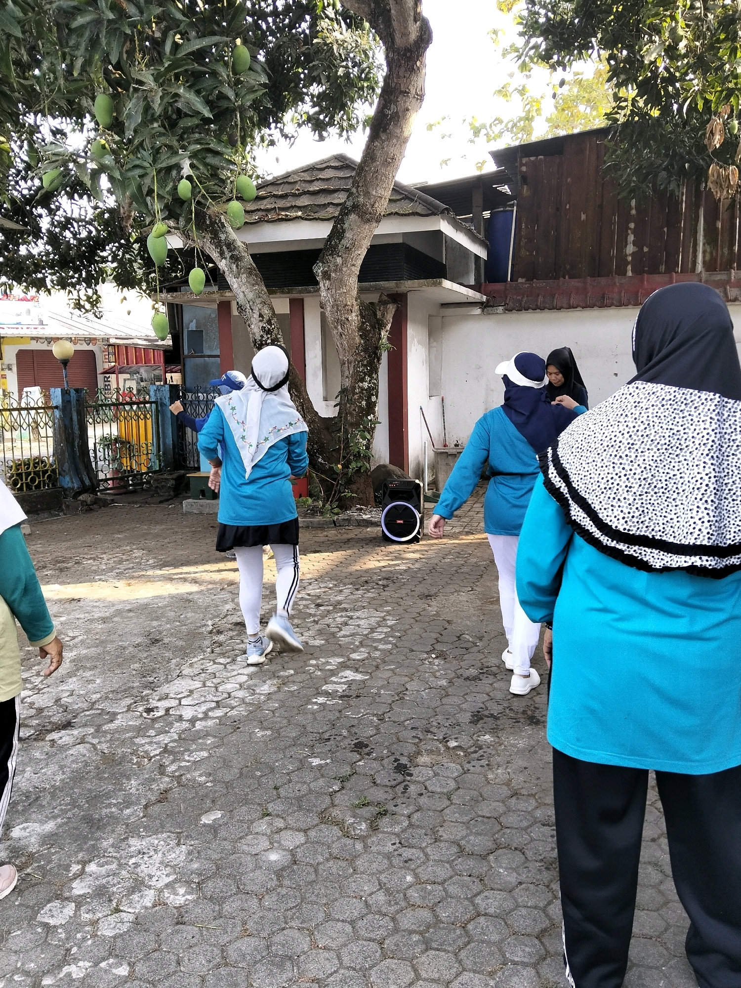 The image captures a group of women engaged in outdoor activity in Kliwonan, Indonesia. The setting appears to be a paved area, possibly a park or communal space, with a prominent mango tree laden with green fruit dominating the left side of the frame. The ground is paved with interlocking hexagonal stones, some of which are worn or stained. In the background, a low building with a sloped, weathered roof is visible, alongside a wooden fence and what appears to be an outdoor speaker.
Three women are prominently featured in the foreground and mid-ground, all wearing modest activewear, including hijabs. The woman closest to the viewer is seen from the back, wearing a bright turquoise top with a patterned black and white trim around the shoulders and hood. She is also wearing black pants. To her left, another woman in a turquoise top and white leggings is captured mid-stride, suggesting she is walking or jogging. She wears a white hijab and a black skirt over her leggings. Further to the left, a third woman, partially visible from the side, is also wearing a turquoise top and white leggings, with a white hijab and a black skirt. A fourth woman, in the mid-ground, is dressed in a similar turquoise outfit and white leggings, and she appears to be interacting with another woman behind her who is wearing a black hijab. The overall atmosphere suggests a group exercise session or a casual walk. The lighting indicates it is daytime, with sunlight filtering through the trees.
