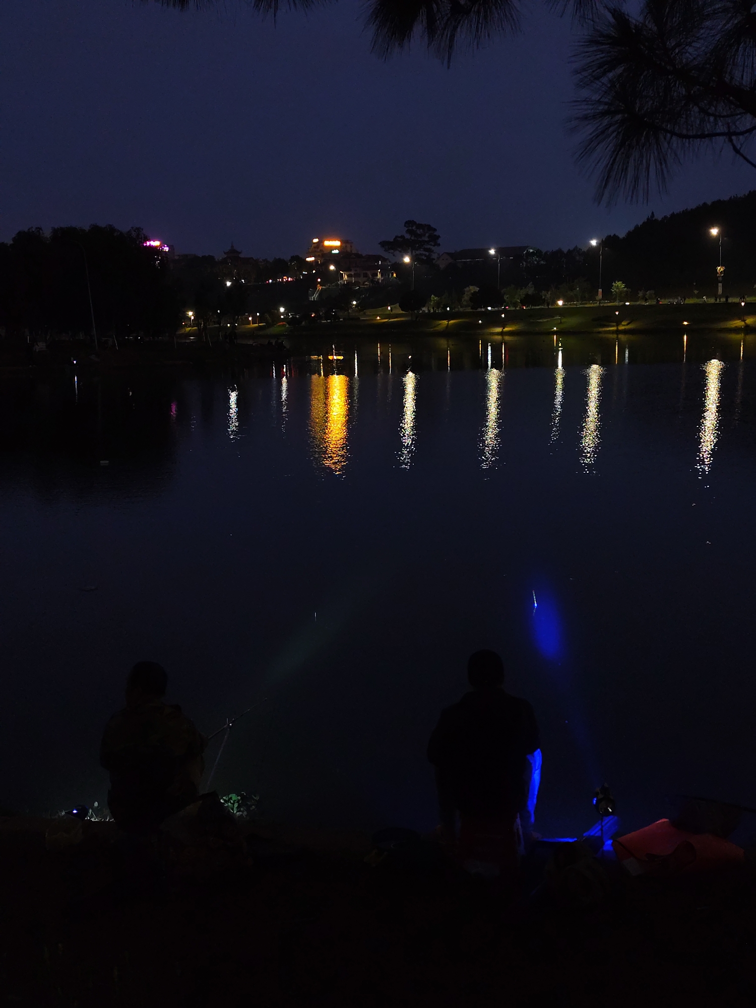 Two people are fishing on the shore of Xuan Huong Lake in Da Lat, Vietnam, at night. Lights from buildings and street lamps reflect on the lake's surface. The figures are silhouetted against the dark water, with beams of light emanating from their fishing gear. A pine tree branch is visible at the upper right.