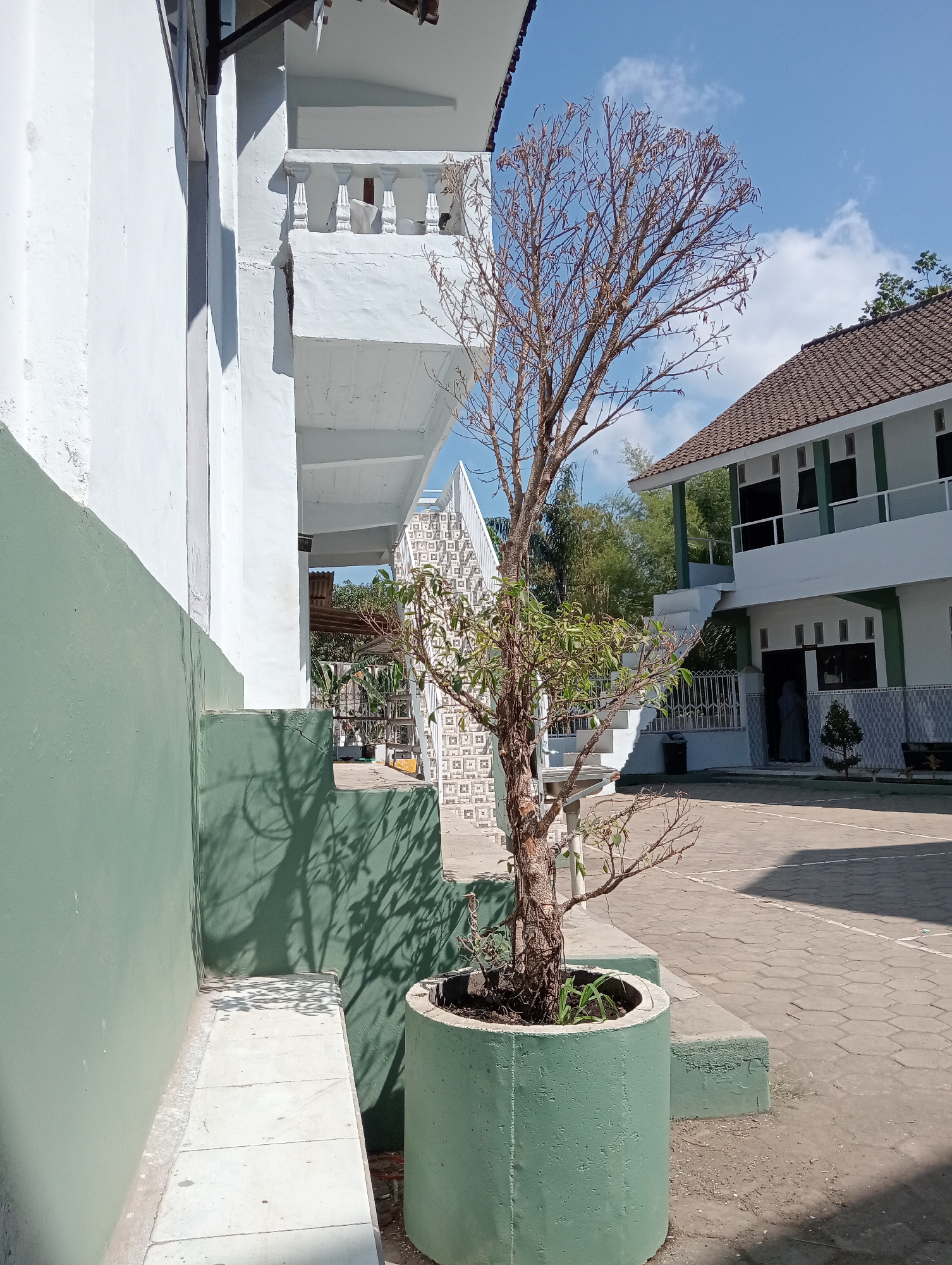 The image depicts an outdoor scene in Desa Silo, Indonesia, on a sunny day with a bright blue sky and scattered white clouds. In the foreground, a cylindrical green planter contains a tree with a predominantly bare brown trunk and branches, interspersed with a few small green leaves. The planter is situated on a tiled walkway next to a building with a green lower wall and white upper sections, featuring a white balcony with decorative balusters.
To the right of the planter, a paved courtyard with a hexagonal tile pattern is visible, marked with white lines. A two-story building with a brown tiled roof and white walls with green accents stands in the background. This building has a visible external staircase leading to the second floor, with a white railing. A person wearing a light-colored headscarf and a dark garment is partially visible entering the ground floor entrance of this building.
Further to the right and behind the courtyard, a dense cluster of green trees and foliage is present, including tall bamboo-like stalks. The overall impression is of an institutional or residential setting, possibly a school or community complex, given the building architecture and paved courtyard. The lighting suggests it is midday, casting distinct shadows from the tree onto the building's wall and the courtyard.