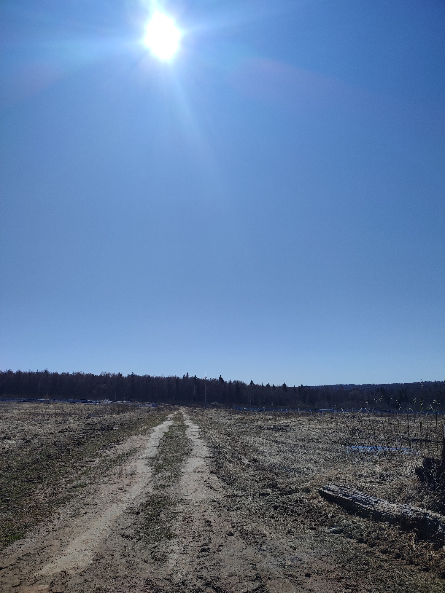 The image depicts a dirt road stretching towards a dark tree line under a clear blue sky with a bright sun. The location is a field in the city of Unknown, Unknown. The road is composed of light-colored soil and exhibits tire tracks. The field surrounding the road is mostly barren, with some patches of dry vegetation. A fallen log is visible in the lower right corner. No people or animals are present in the scene.