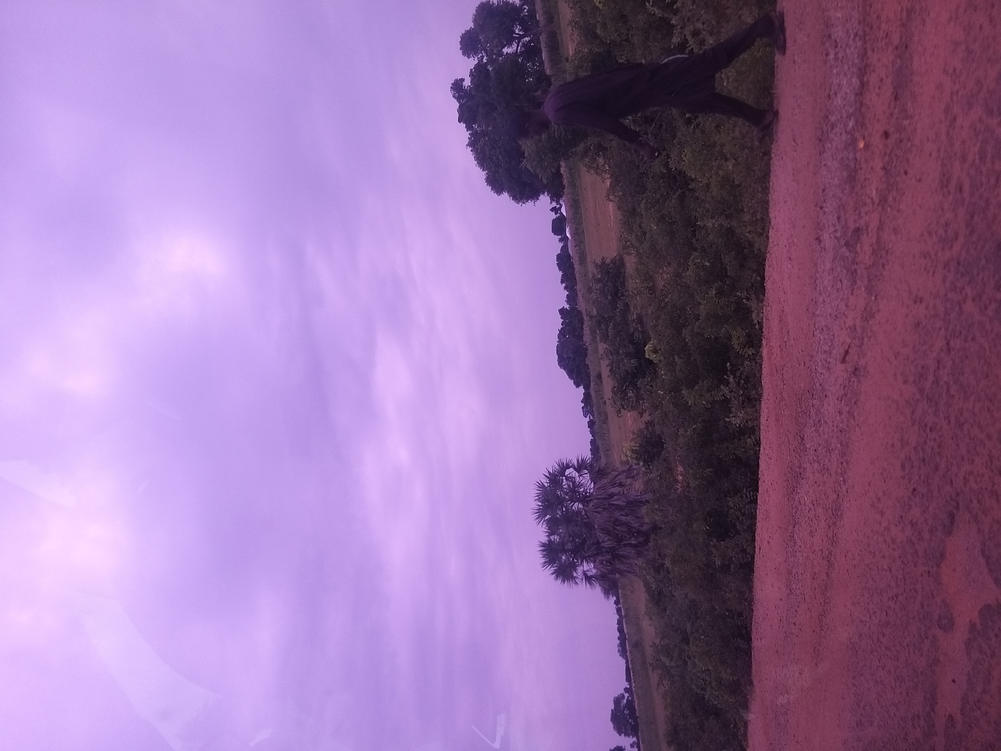 A man walks on a dirt road in Dukku, Nigeria. The sky is overcast with a purplish hue, suggesting twilight or heavy cloud cover. The landscape consists of sparse vegetation, including a prominent palm-like tree and other bushes and trees. In the distance, there are hints of structures, possibly buildings or tents, and a gentle slope of the land. The road itself is rough and reddish-brown, indicating a dry, unpaved surface. The man is walking away from the camera, dressed in dark clothing, and appears to be alone in the scene. The overall atmosphere is subdued and natural.