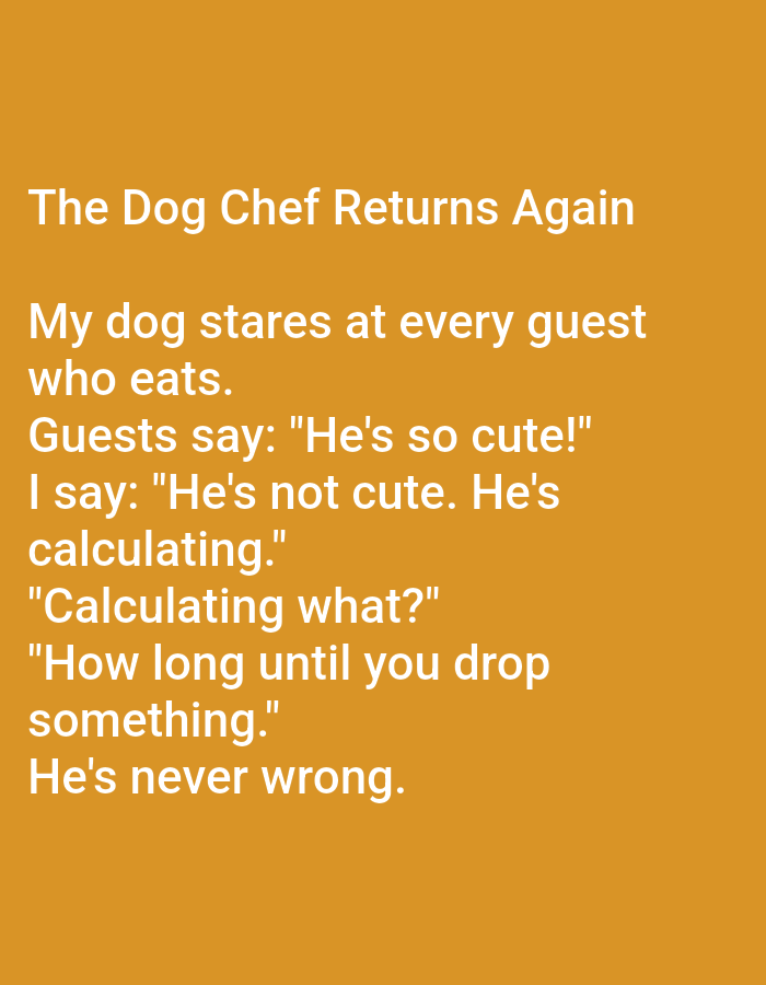 The image is a photograph of text displayed on an orange background. The text is white and reads:
"The Dog Chef Returns Again
My dog stares at every guest
who eats.
Guests say: "He's so cute!"
I say: "He's not cute. He's
calculating."
"Calculating what?"
"How long until you drop
something."
He's never wrong."
There are no elements in the image that indicate a location in the city of Kępno, Poland.