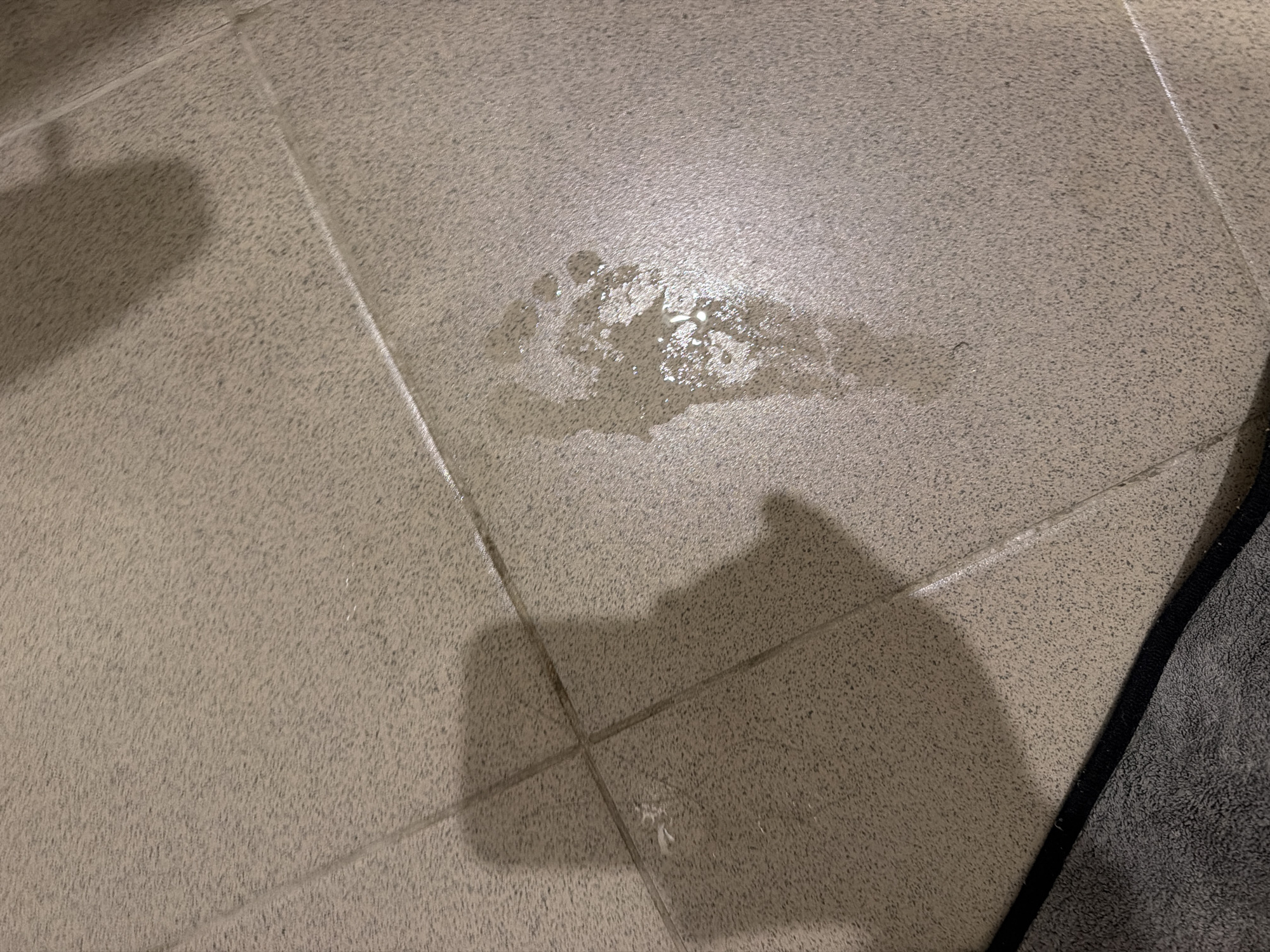 The image captures an overhead view of a light-colored, speckled tiled floor with a puddle of liquid, likely water, in the center-right. The tiles are a muted grey or beige, and the grout lines are clearly visible, forming a grid pattern. The surface of the tiles has a slightly textured appearance.
The puddle is irregularly shaped, reflecting light brightly from an overhead source, indicating its wetness. To the right of the frame, a dark grey, textured towel or mat is partially visible along the edge. A prominent, dark shadow, consistent with a person holding a camera or phone, falls across the lower left and central part of the floor.
The scene suggests an indoor setting, possibly a bathroom or kitchen, where a spill or water accumulation has occurred. The lighting appears to be artificial, highlighting the sheen on the water. There is no discernible activity taking place, only the aftermath of a liquid being on the floor. No specific time of day or weather can be inferred. The image itself does not contain any text. The provided location context is Sochi, Russia.