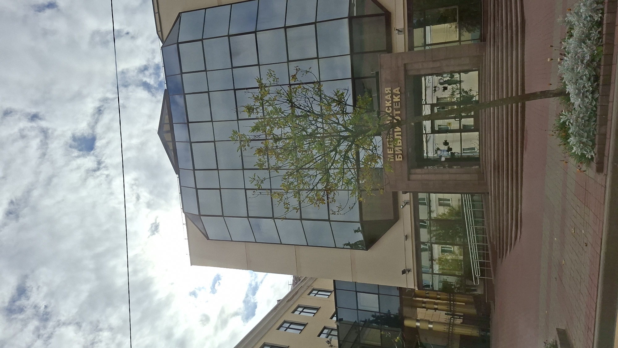 A modern building with a large glass facade stands in Vitsebsk, Belarus, on a cloudy day. The building, identified by Russian signage above the entrance as "МЕДИЦИНСКАЯ БИБЛИОТЕКА" (Medical Library), features a prominent angled glass section on its upper floors, reflecting the sky and surrounding structures. In front of the building, a bare-branched tree stands on a paved walkway leading up to a wide set of stairs and the main entrance. Adjacent to the library, a lighter-colored building with a traditional facade and windows is visible. The foreground is a reddish-brown brick sidewalk with some low-lying plants and scattered leaves. A thin wire stretches across the upper portion of the image.