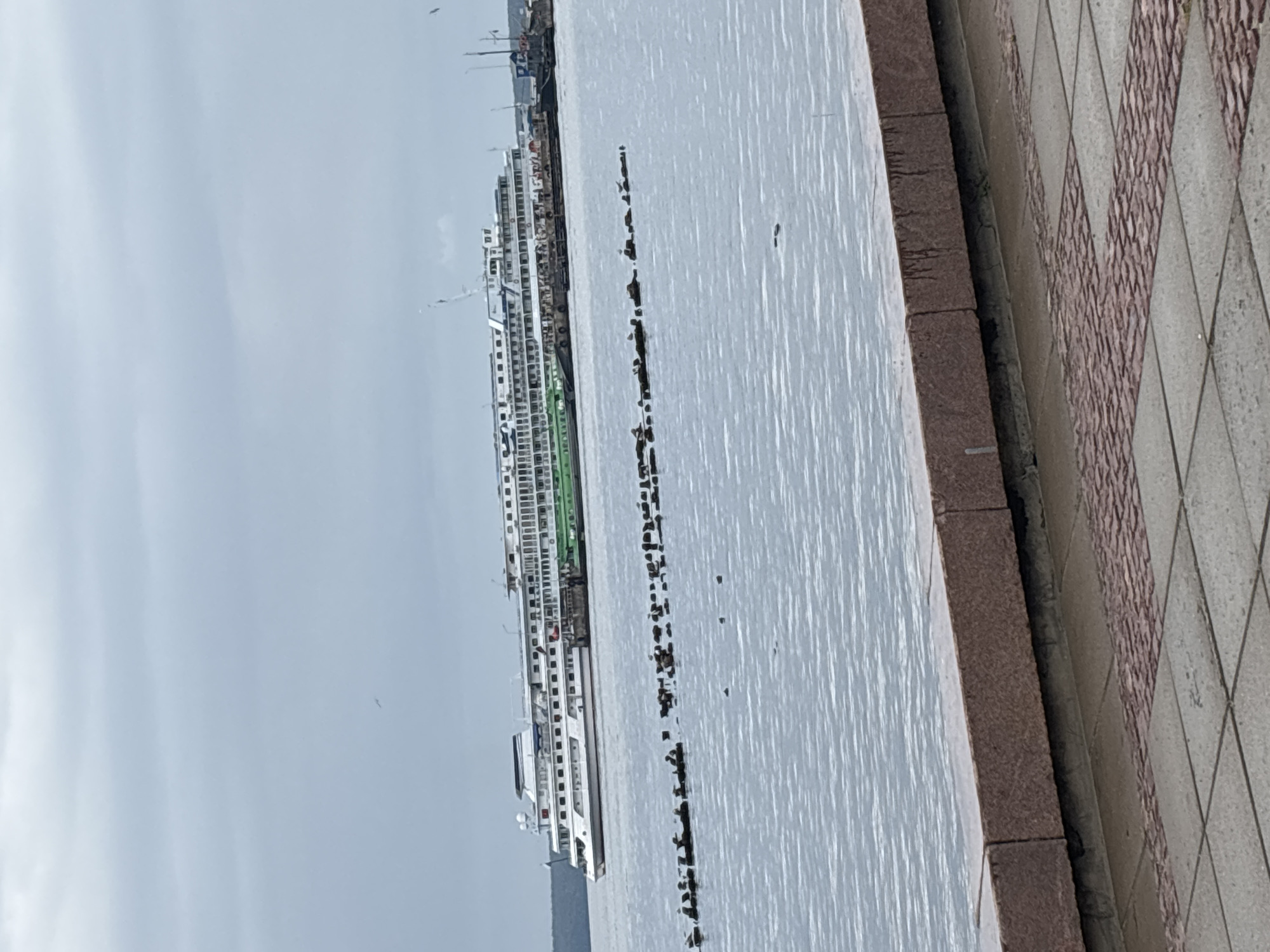 A large, white, multi-deck passenger ship is docked on a wide body of water under an overcast sky. The ship is the largest object in the frame and appears to be a river cruise ship, with numerous windows lining its sides. Partially obscured behind the white ship is a green vessel. In the foreground, a line of dark, broken pilings or debris extends across the water, with several birds perched on them. The water is calm and reflects the muted sky. The edge of a stone embankment or seawall is visible at the bottom of the image, with a tiled walkway beyond it. The scene is likely the waterfront in Petrozavodsk, Russia, given the presence of large passenger ships on the water.