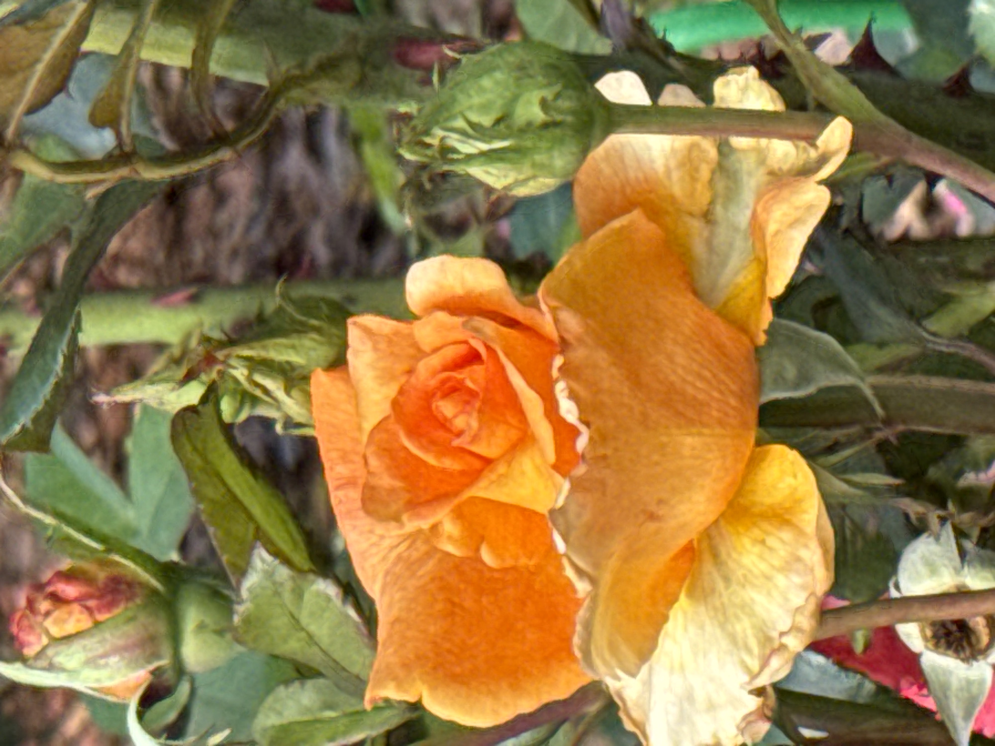 The image is a close-up shot of an orange rose in bloom, with several rose buds and green foliage surrounding it. The rose is in focus in the foreground, its petals displaying a vibrant orange hue with lighter yellow tones near the center. To the left of the blooming rose, a tightly closed rose bud exhibits reddish-pink and green coloration. To the right, a smaller green rose bud is also visible. The background is blurred, suggesting a garden setting with soft brown and green tones. The lighting appears natural, highlighting the textures of the petals and leaves. The image is a still life composition focusing on the beauty of the rose. No specific location in Saint Petersburg, Russia can be identified from the image content.