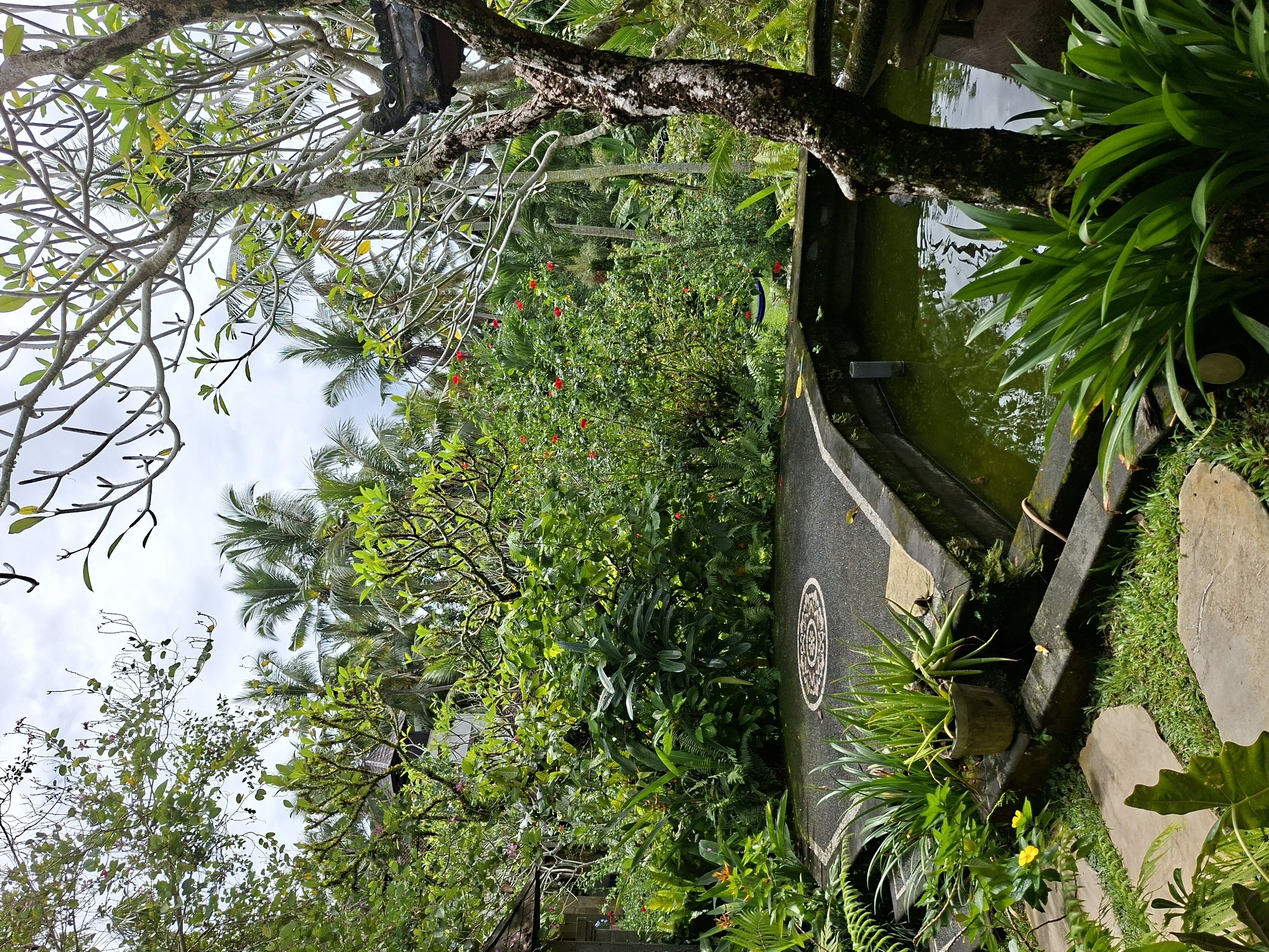 The image depicts a tranquil scene in Ubud District, Indonesia. Lush greenery dominates the composition, featuring a variety of tropical plants, trees, and shrubs. A stone path with a decorative circular design leads through the vegetation. Adjacent to the path is a small pond with aquatic plants. The sky is partially visible through the tree canopy, suggesting a humid, tropical environment. There are no people visible in the scene.