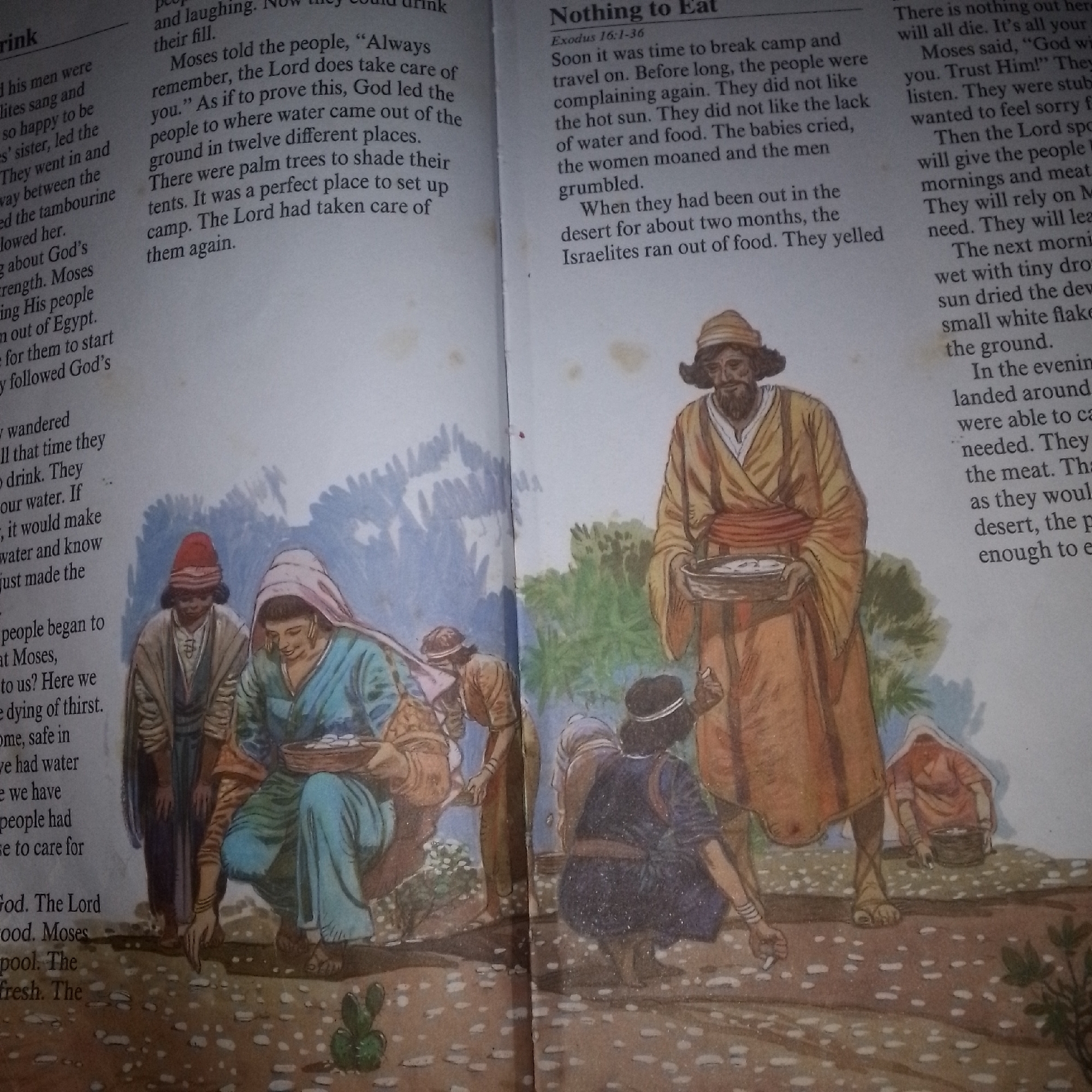 This is a close-up, low-angle photograph of an open book, likely a religious text given the illustration and text content. The illustration depicts a group of people in what appears to be a desert or arid landscape. The people are dressed in ancient-style clothing, with flowing robes and head coverings. They are engaged in various activities, including collecting small white objects from the ground and carrying baskets. One prominent figure, a man with a beard and wearing a yellow robe, holds a shallow bowl containing more of these white objects. The scene evokes a sense of communal gathering and sustenance.
The text visible on the left page speaks of the Israelites' journey, divine provision of water, and a place to set up camp with shade from palm trees. The text on the right page, under the heading "Nothing to Eat" and referencing Exodus 16:1-36, describes the people complaining about lack of food and water in the desert. It further narrates the provision of "manna" and quail, describing small white flakes appearing on the ground.
Notable details include the warm, dry lighting suggesting daytime in a hot climate, consistent with a desert setting. The presence of small, scattered white objects on the ground and in bowls points to a miraculous food source. The emotions conveyed by the text are those of desperation, grumbling, and eventual relief and trust in divine providence.
Visible text includes chapter and verse references (Exodus 16:1-36), headings ("Nothing to Eat"), and narrative passages describing the Israelites' experiences. The location context of Jalingo, Nigeria, is not directly evident from the visual elements or text within the image itself.