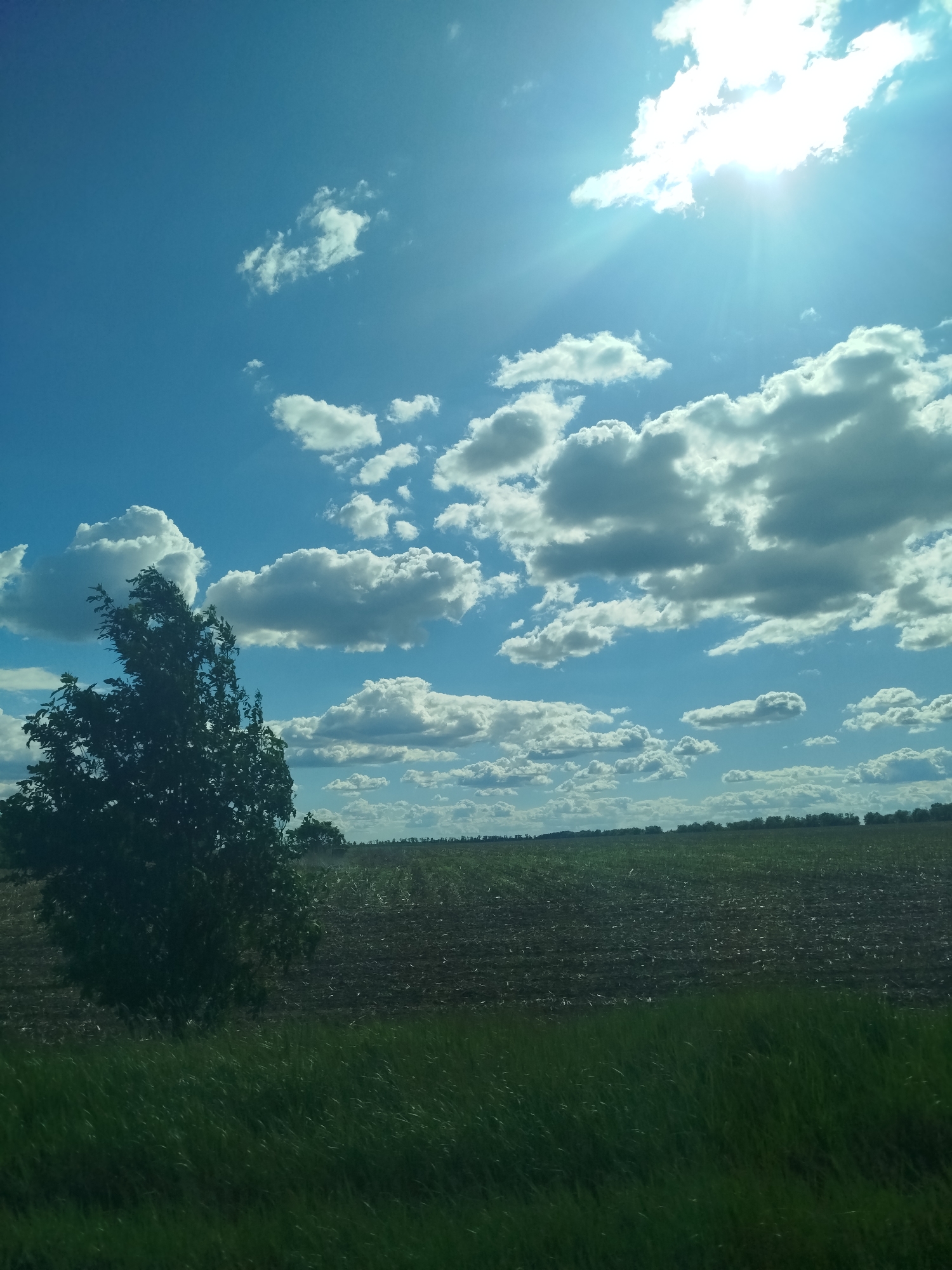 The image shows a rural scene in Ruda, Ukraine. A field of tilled earth is visible, transitioning into green grass in the foreground. A tree stands on the left side of the frame. The sky is blue with numerous white clouds and the sun shining brightly.