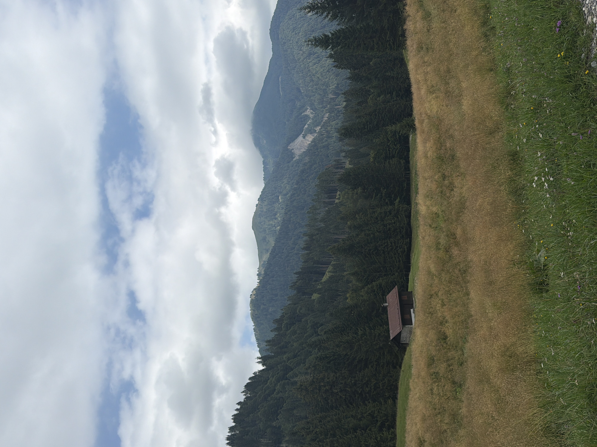 This image depicts a rustic wooden cabin with a dark brown roof situated on a gently sloping meadow covered in tall, dry grass. Behind the meadow, a dense forest of evergreen trees climbs up a mountainside. Further in the distance, layered mountain ranges rise, with some peaks partially obscured by clouds. The sky above is a mix of white and gray clouds with patches of blue visible. The scene appears to be a remote, natural landscape, likely in a mountainous region. The provided location of Lateis/Latais, Italy, suggests this cabin is situated in the Italian Alps. There are no people or animals visible in the image.