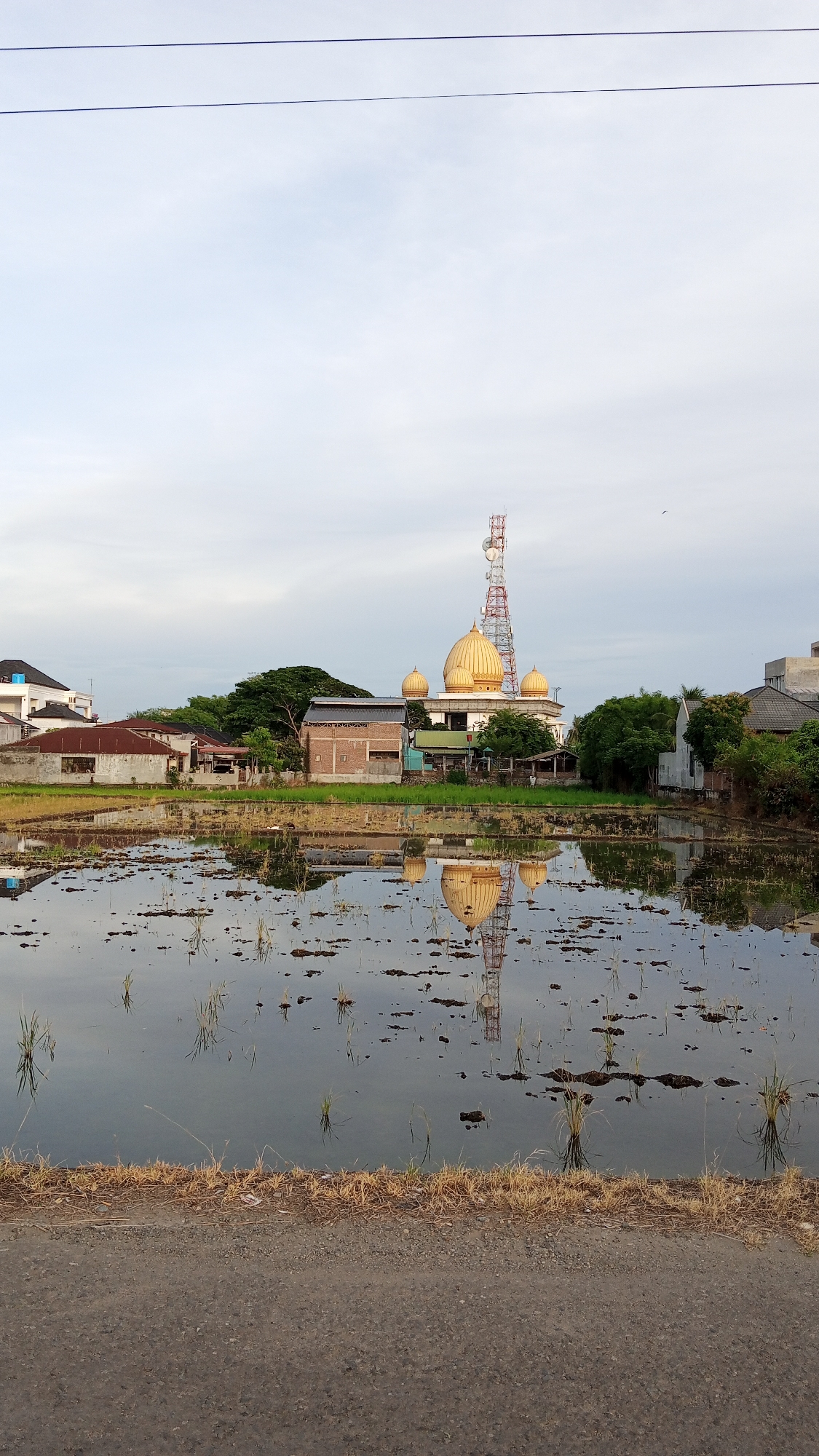 This image depicts a serene rural landscape in Geulangganggampong, Indonesia, likely captured during the early morning or late afternoon due to the soft, diffused light. The scene is dominated by a body of water, possibly a flooded rice paddy, reflecting the sky and surrounding structures. Several young rice plants are visible, emerging from the murky water, hinting at an agricultural setting.
In the mid-ground, a mosque with multiple golden domes stands prominently, its architecture characteristic of Islamic places of worship. Adjacent to the mosque, a tall, red and white telecommunications tower rises into the sky, creating a juxtaposition of religious and technological elements. The reflection of both the mosque and the tower is clearly visible in the water, adding a sense of depth and symmetry to the image.
Behind the mosque and tower, a cluster of buildings, including houses with corrugated iron roofs and more modern structures, are nestled amongst lush green trees, suggesting a small village or community. The sky above is overcast with soft grey and white clouds, indicating a possibility of mild weather. The foreground features a narrow, paved road or pathway bordering the water, with dry grass and soil along its edge. There is no visible text in the image. The overall mood conveyed is one of tranquility and the harmonious coexistence of nature, spirituality, and modern infrastructure.