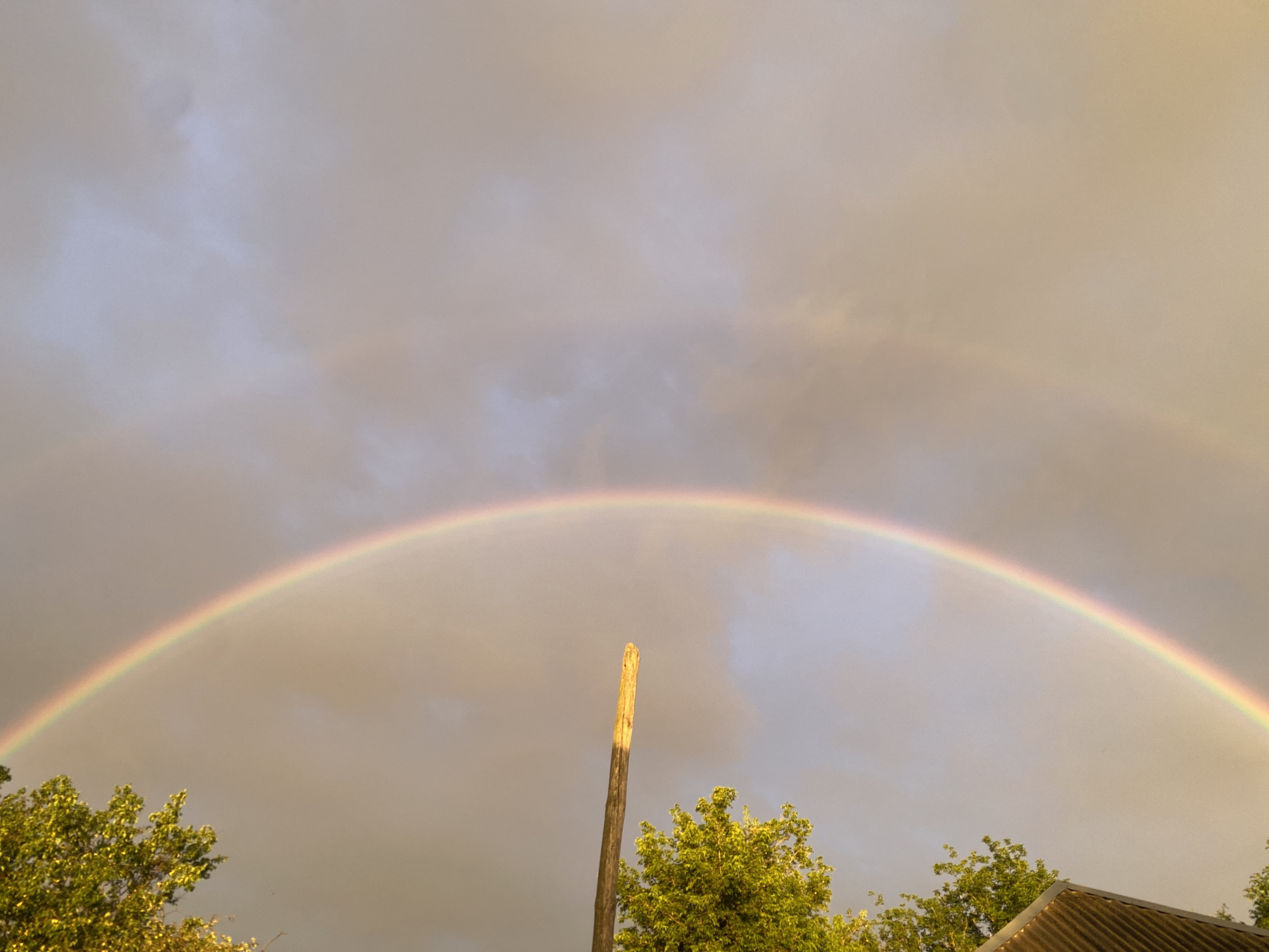 A natural rainbow arches across a cloudy sky. The rainbow is visible over a line of trees and a rustic wooden post. The sky is a mix of gray and golden clouds, suggesting it may be near sunrise or sunset. A corrugated roof is visible on the far right. The scene appears to be outdoors, possibly in a suburban or rural setting.