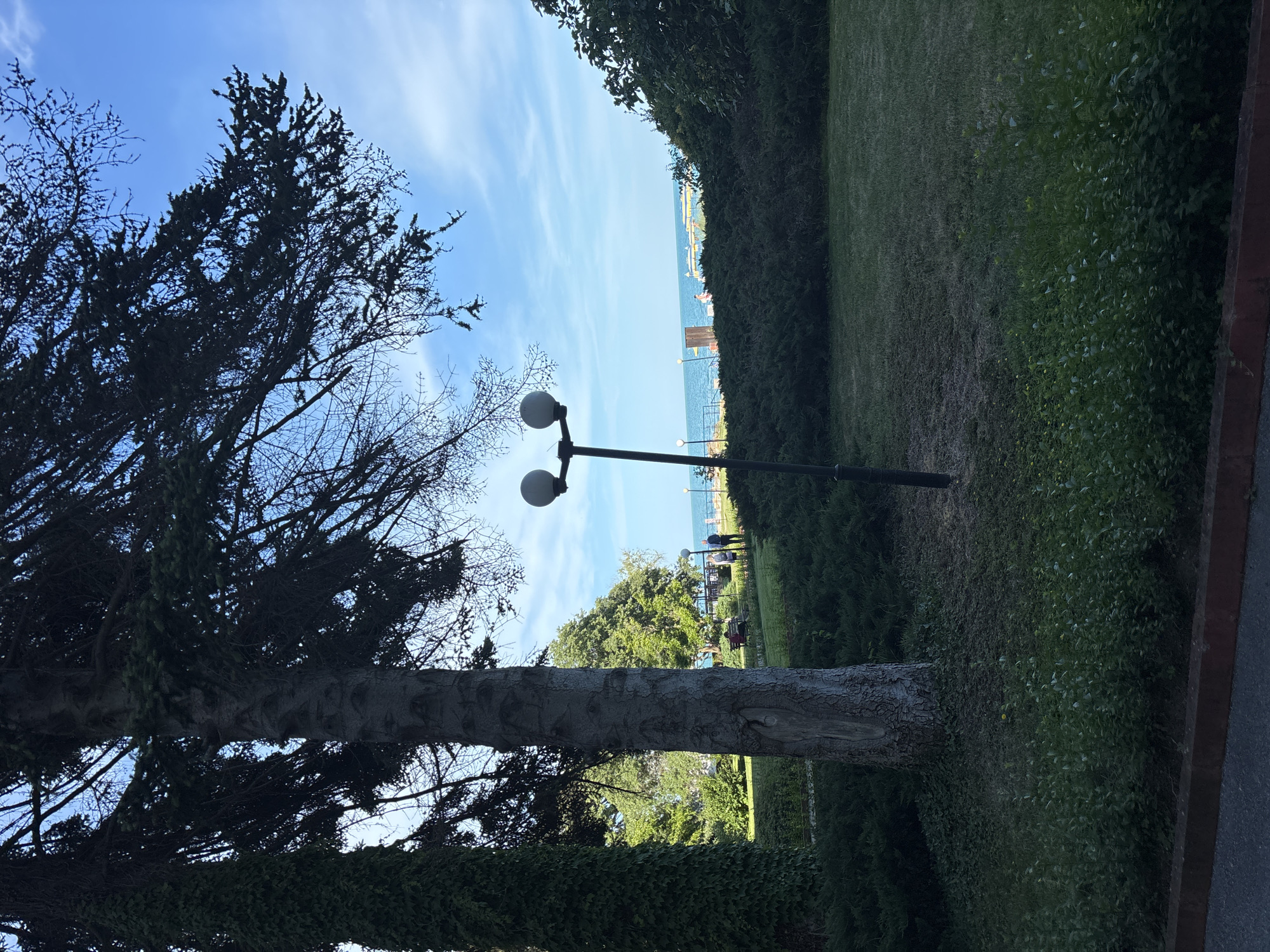 The image depicts a scenic view of the Black Sea coastline from a park in Varna, Bulgaria. In the foreground, a large tree with a rough, textured bark stands prominently, partially obscuring the view of a path and lush green grass. To the left, another tree is covered in dense ivy. A black lamppost with two round white lights is positioned in the middle ground. Beyond the park area, there's a well-maintained hedge, and further in the distance, the calm blue sea is visible, with a few beach chairs and umbrellas suggesting a recreational area. The sky is clear and blue, with a few wispy clouds. Two individuals are seen walking near the shoreline in the mid-distance. The overall impression is one of a tranquil park setting by the sea.
