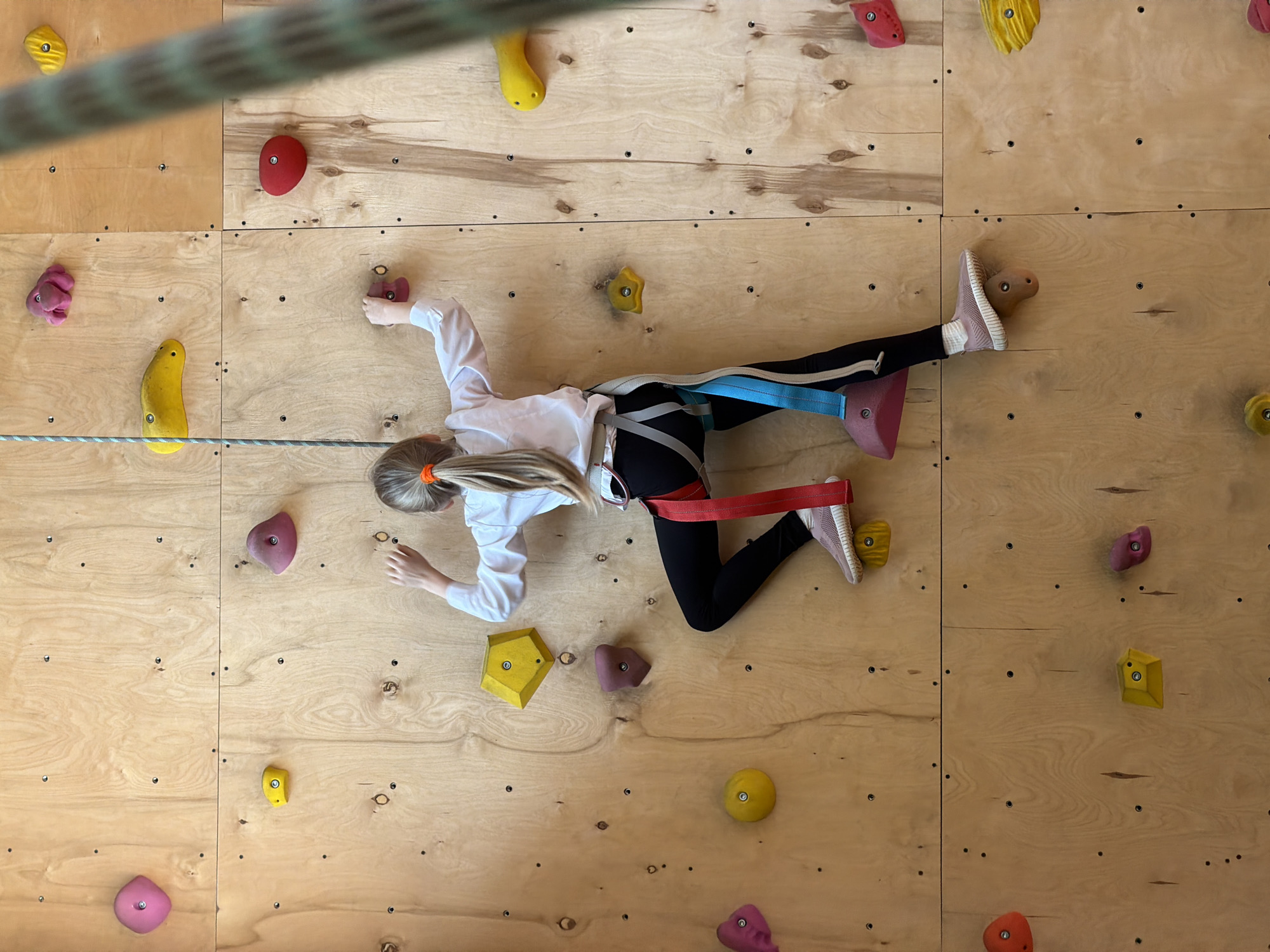 A young girl is actively engaged in indoor rock climbing or bouldering, positioned horizontally across a light-colored wooden climbing wall. She has fair hair, tied back in a ponytail with an orange hair tie, and is dressed in a white long-sleeved top, black leggings, and light pink sneakers. A safety harness with blue and red straps is worn around her waist and upper thighs, indicating a secure climbing environment.
The girl is navigating the wall using various brightly colored climbing holds, including shades of red, yellow, pink, and purple, which are bolted onto the wooden panels. Her body is outstretched, with her left foot placed on a yellow hold and her right foot extended to reach for another. Her hands are gripping different holds as she moves across the wall. A thick, multi-colored (green, beige, blue) rope is visible across the top and middle of the frame, suggesting it is part of the climbing setup or safety system.
The scene depicts an indoor climbing facility, likely a bouldering gym, in Izhevsk, Russia. The activity conveys focus and physical effort as the girl maneuvers across the artificial rock face. There is no visible text in the image.