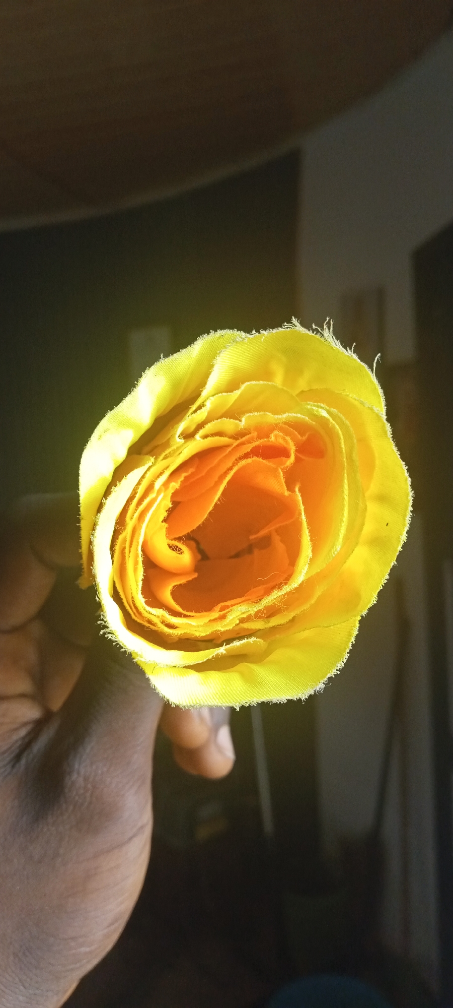 A person's hand is holding a yellow and orange rose in an indoor setting. The hand is dark-skinned and appears to be in focus, while the rose is brightly lit, showcasing its petal arrangement. The background is somewhat blurred and appears to be an interior space, possibly a room. There is no explicit information to confirm that this picture was taken in the city of Jos, Nigeria. The description focuses only on verifiable elements visible in the image.