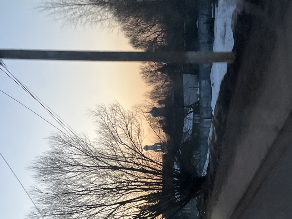 The image presents a twilight scene in Rogachovo, Russia, characterized by a graduated sky transitioning from light blue at the zenith to peach and orange hues near the horizon. In the foreground, a dark, out-of-focus surface, possibly a road or paved area, extends across the bottom left. Adjacent to this, on the right, are patches of residual snow on dark ground. A dark, vertical utility pole occupies the right side of the frame, with multiple power lines extending diagonally across the upper left portion of the sky.
The midground features numerous bare deciduous trees, with a large, multi-trunked tree prominent on the left, partially obscuring the view. Through and beyond these trees, several structures are visible in silhouette. A light-colored bell tower with a distinct domed top is discernible on the left, while further to the right, multiple darker, onion-domed structures characteristic of Russian Orthodox architecture are present. Below these larger edifices, residential buildings with snow-covered roofs and light-colored wooden fences are visible. The entire landscape suggests a late winter or early spring setting. No individuals or discernible actions are depicted.