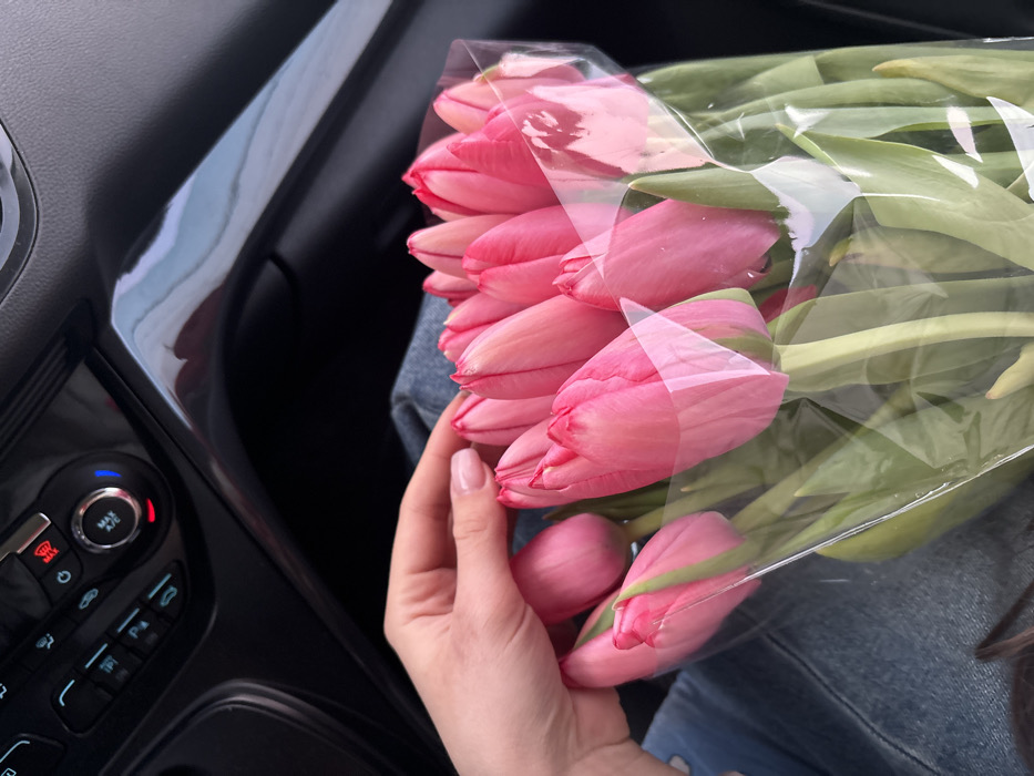 The scene depicts an interior view from within a vehicle, stated to be located in Slavyansk-na-Kubani, Russia. A human hand, exhibiting light skin tone and manicured nails with a pale pink polish, rests upon a bouquet of approximately 15 to 20 pink tulips. The tulips are in a closed or semi-closed bud stage, featuring green stems and leaves, and are partially encased in clear plastic wrapping. Below the hand and flowers, the upper portion of a lap clad in light blue denim is visible. The upper right background displays a black vehicle dashboard and center console. Visible components include a climate control panel with various black buttons, circular knobs (one prominently labeled 'MAX A/C' and illuminated with both red and blue light), and a button depicting a windshield defrost icon. A glossy black trim piece on the console reflects ambient light, showing light blue and grey hues suggestive of an outdoor sky. The overall illumination indicates daylight conditions.