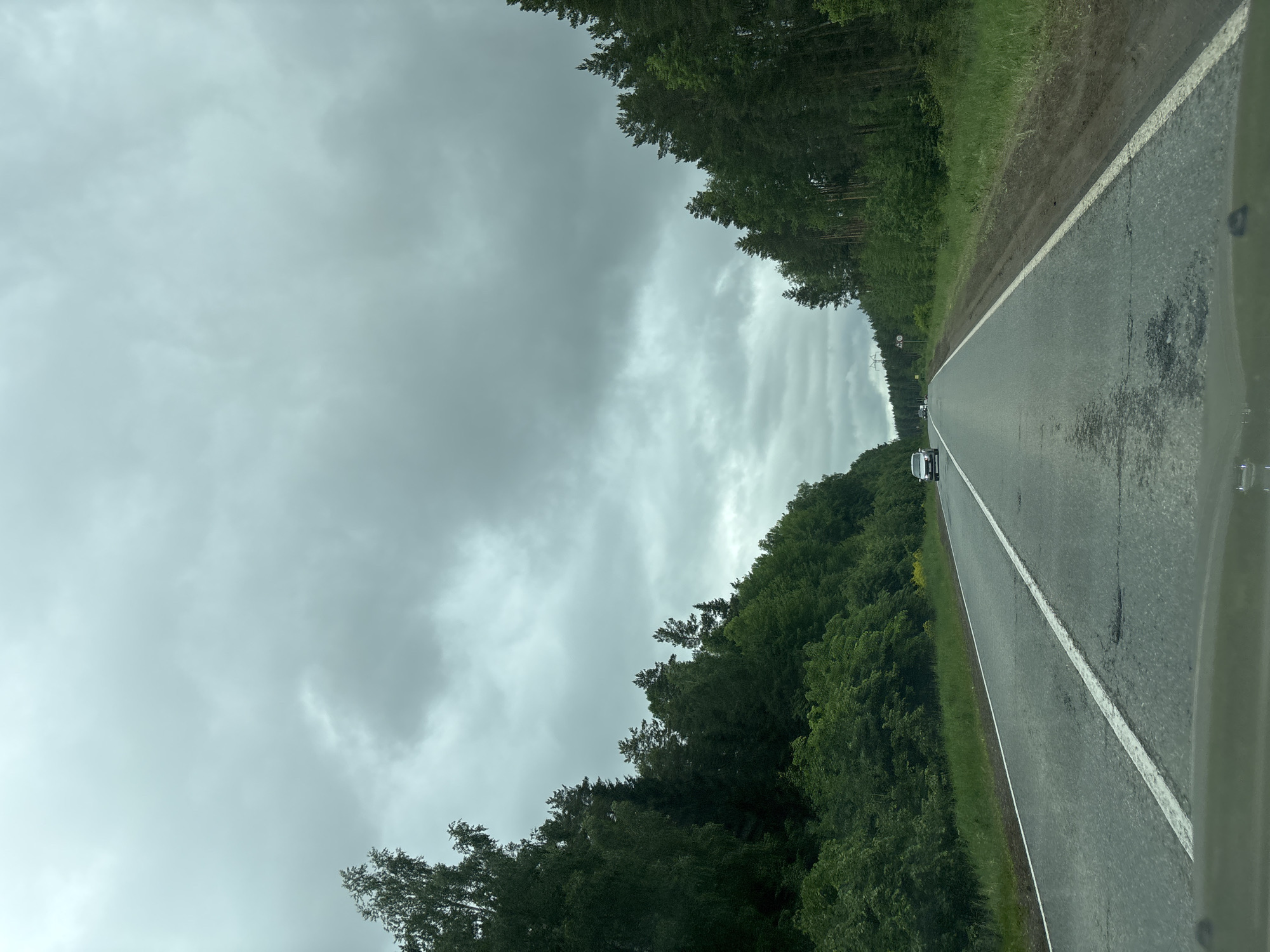 The image depicts a two-lane asphalt highway on an overcast day in Novyi, Russia. The perspective is from inside a vehicle, looking forward through the windshield, with a portion of the dashboard visible at the bottom.
The highway features a broken white center line separating opposing traffic lanes and a solid white line marking the right shoulder. The road surface exhibits dark patches, possibly wet areas or repairs, and some wear. Dense forests line both sides of the road. The forest on the left side, closer to the camera, appears to be a mix of deciduous and coniferous trees, with rich green foliage and undergrowth. The forest on the right side is predominantly coniferous, with tall, slender trees.
In the distance, several vehicles are visible on the highway. A silver car, possibly a sedan or SUV, is approaching in the opposing left lane. Further down the road, another lighter-colored vehicle is faintly discernible. On the right side of the road, two road signs are visible; one is triangular, and the other is rectangular. Above the trees on the right, what appears to be part of a power line or utility pole structure is faintly visible against the sky.
The sky is completely covered by thick, dark grey, overcast clouds, indicating heavy cloud cover and diffused light. No direct sunlight is apparent. There are no people visible outside of vehicles.