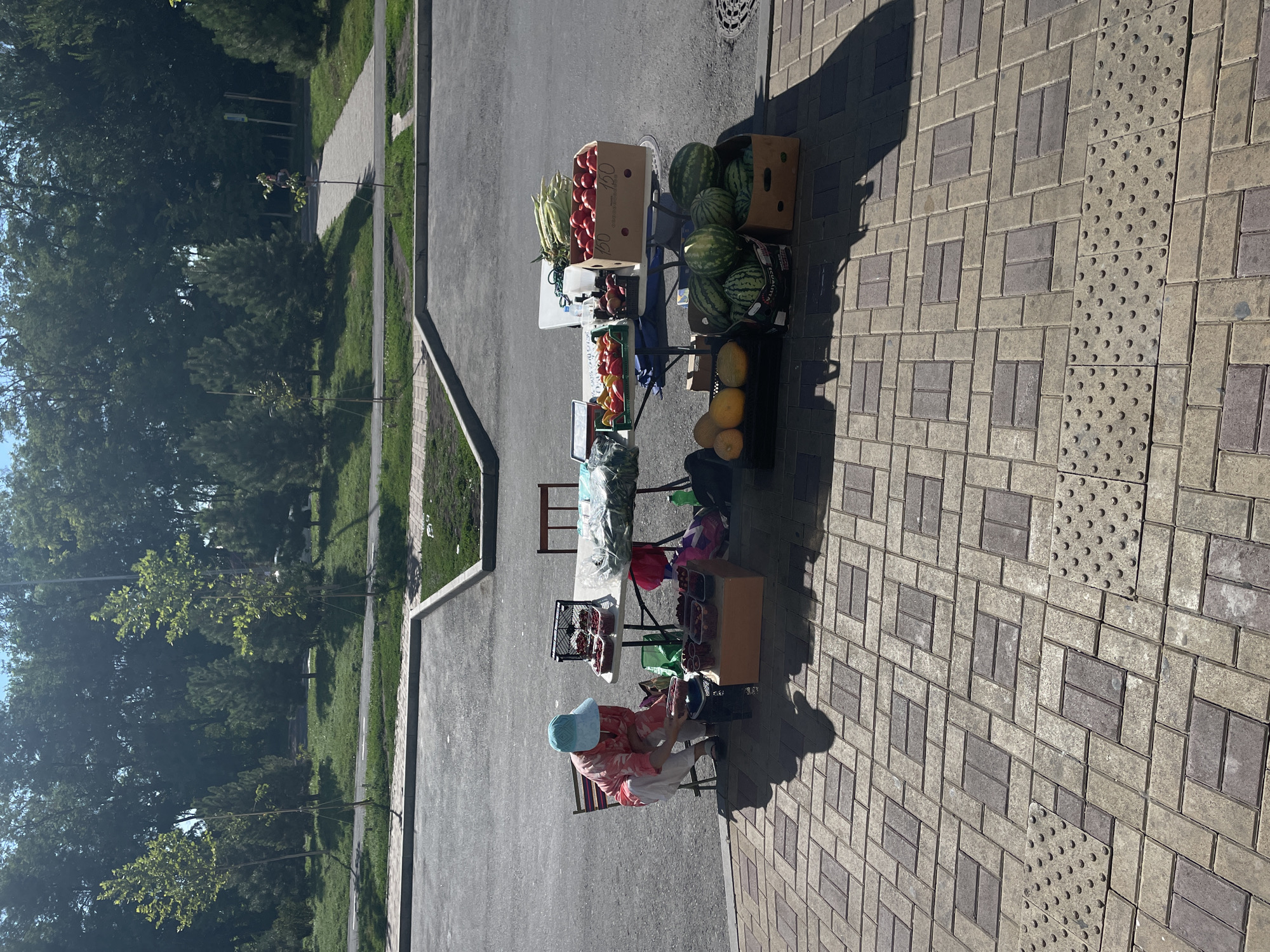 A lone individual, wearing a light blue hat and a pink patterned shirt with white pants, is crouched on a chair next to a roadside stand. The stand displays a variety of fruits and vegetables, including boxes of tomatoes, corn, watermelons, and melons, as well as containers of berries. The scene appears to be a street market. The background shows trees and a pedestrian walkway. The setting is the city of Rostov-on-Don, Russia, on a sunny day.