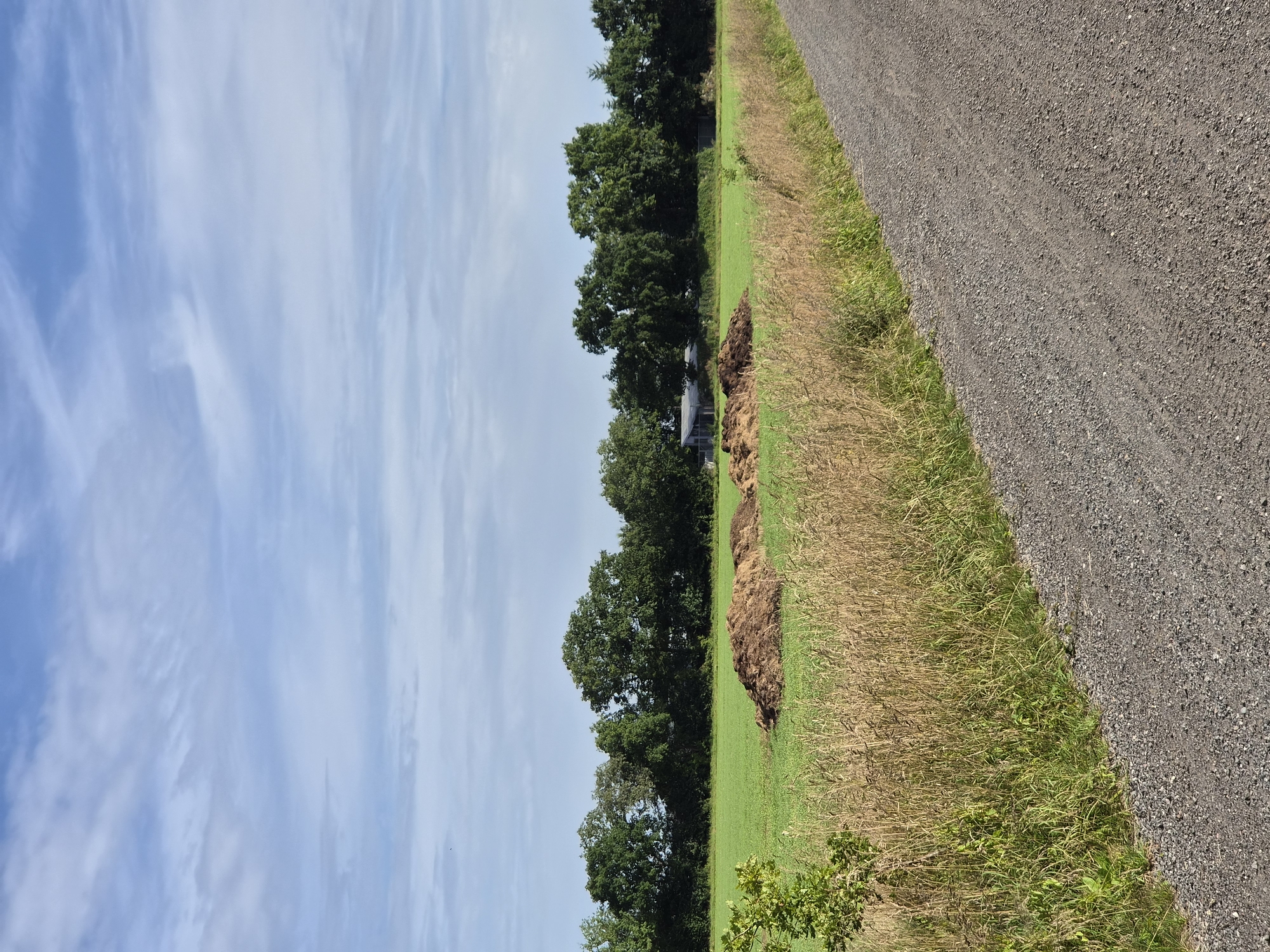 The image depicts a rural scene in Schiffdorf, Germany, under a partially cloudy sky. In the foreground, a gravel road runs diagonally from the lower right to the upper left. To the left of the road is a strip of dry, golden grass and green vegetation. Further into the image, a vibrant green field is visible, containing two large piles of brown material, likely compost or manure. Behind the field, a dense line of green trees forms a natural boundary, with a low-lying building or structure partially visible amongst them. The overall environment suggests an agricultural or countryside setting. No people are present in the image.