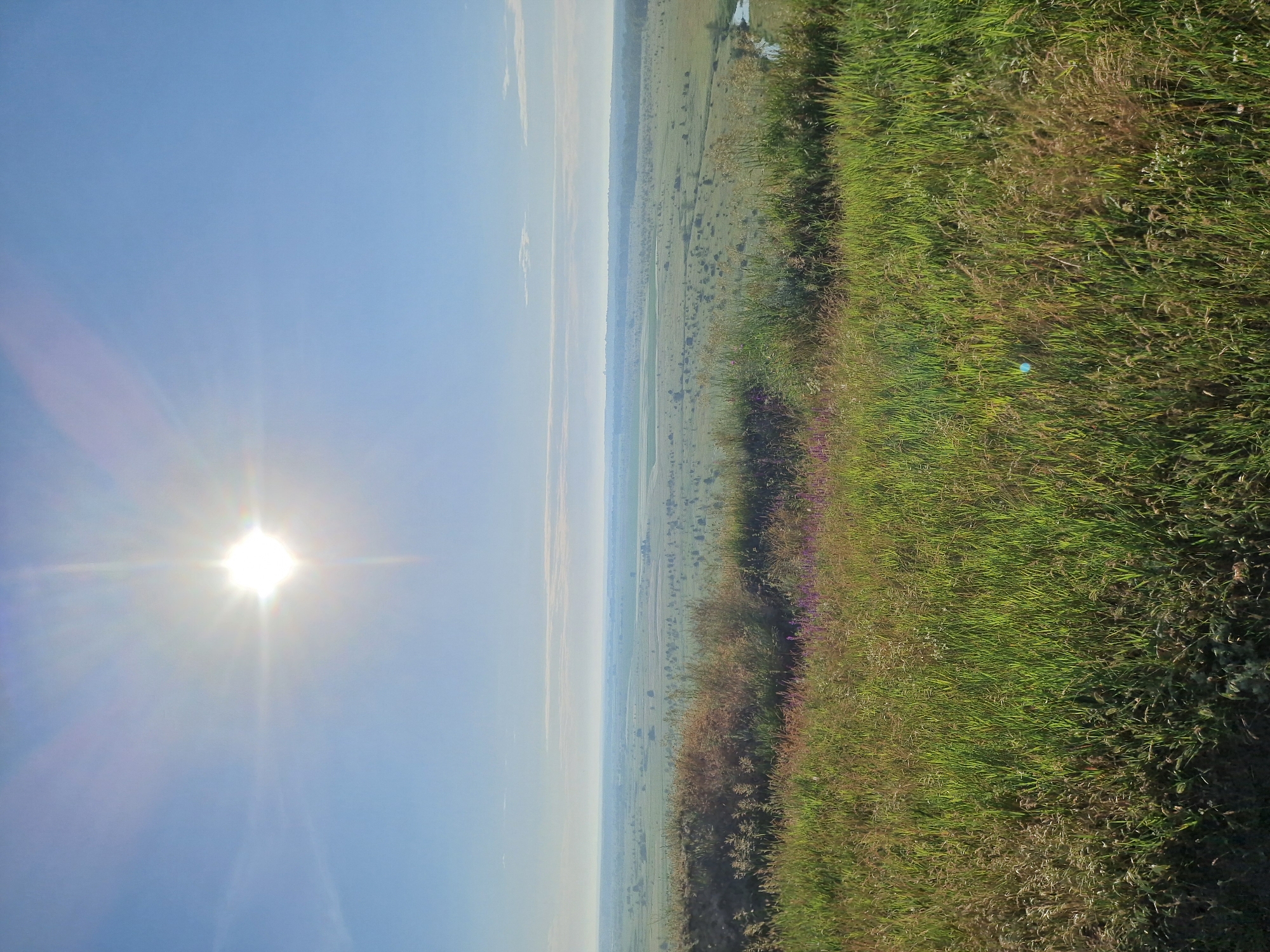A wide-angle landscape photo captures a vast, open field bathed in bright sunlight. The sun, positioned high in the sky and slightly to the left, emits intense rays that create a bright halo effect. The sky is a clear, pale blue with a few wispy clouds visible on the horizon. In the foreground, a dense patch of green grass and wild plants covers a gentle slope. The midground features more rolling hills and fields, dotted with scattered trees and what appear to be agricultural plots. A narrow, winding river is visible in the far right midground, reflecting the sunlight. The horizon is a soft blend of greens and blues, with a faint haze or mist obscuring distant details. The overall impression is one of a tranquil, rural landscape under a clear, sunny sky.