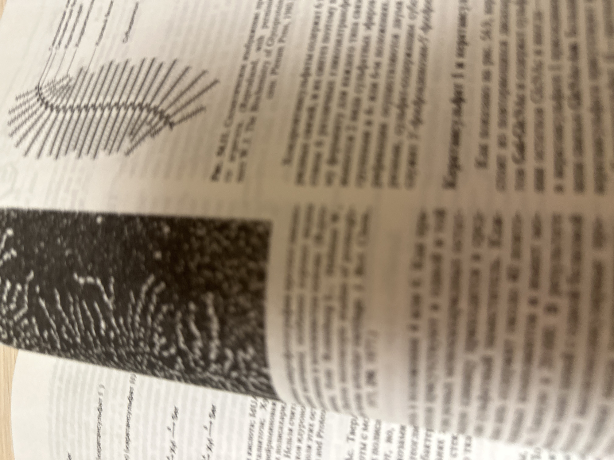 This image shows an open book with text and illustrations. The book is lying on a flat surface, possibly a table. The text appears to be in Russian and English. One illustration is a diagram of what looks like a biological structure, possibly a cell or a molecule. The other illustration is a black and white close-up photograph of a textured surface. The lighting suggests it is indoors. There is no indication of the city of Kazan, Russia, in the image or its content.
