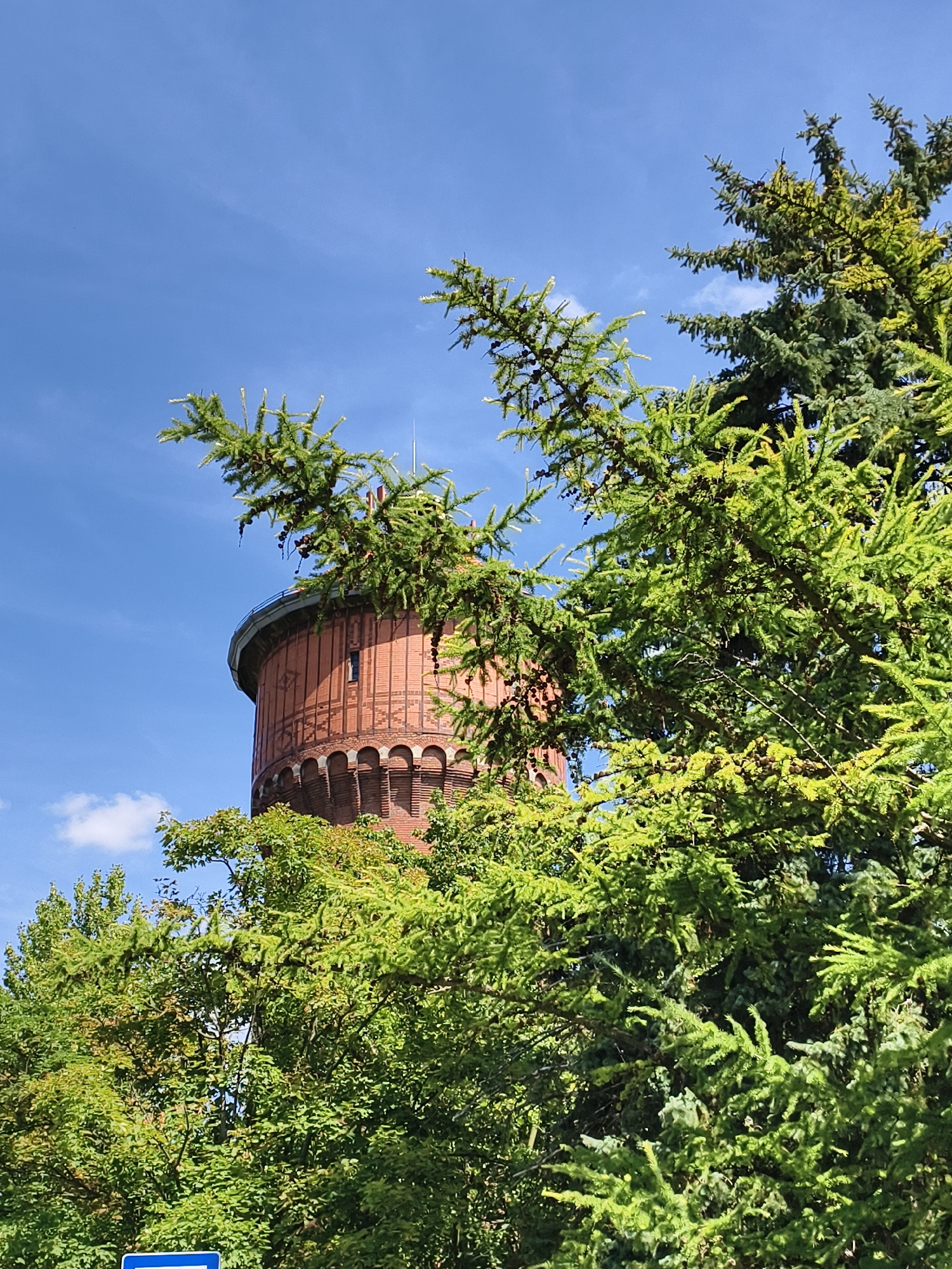A clear, bright, sunny day is depicted, with a prominent, circular, red-brick water tower dominating the mid-ground of the image. The tower features decorative brickwork and a small window near its top. Lush green trees, including pine trees with cones, partially obscure the water tower from view. The sky is a vibrant blue with a few wispy white clouds. In the lower left corner, a glimpse of a blue sign with white lettering is visible, suggesting a public area or street. The scene appears to be an outdoor setting within the city of Tczew, Poland, specifically at the former Tczew Water Tower, which is now a cultural center and museum. There are no people or animals visible in the frame.