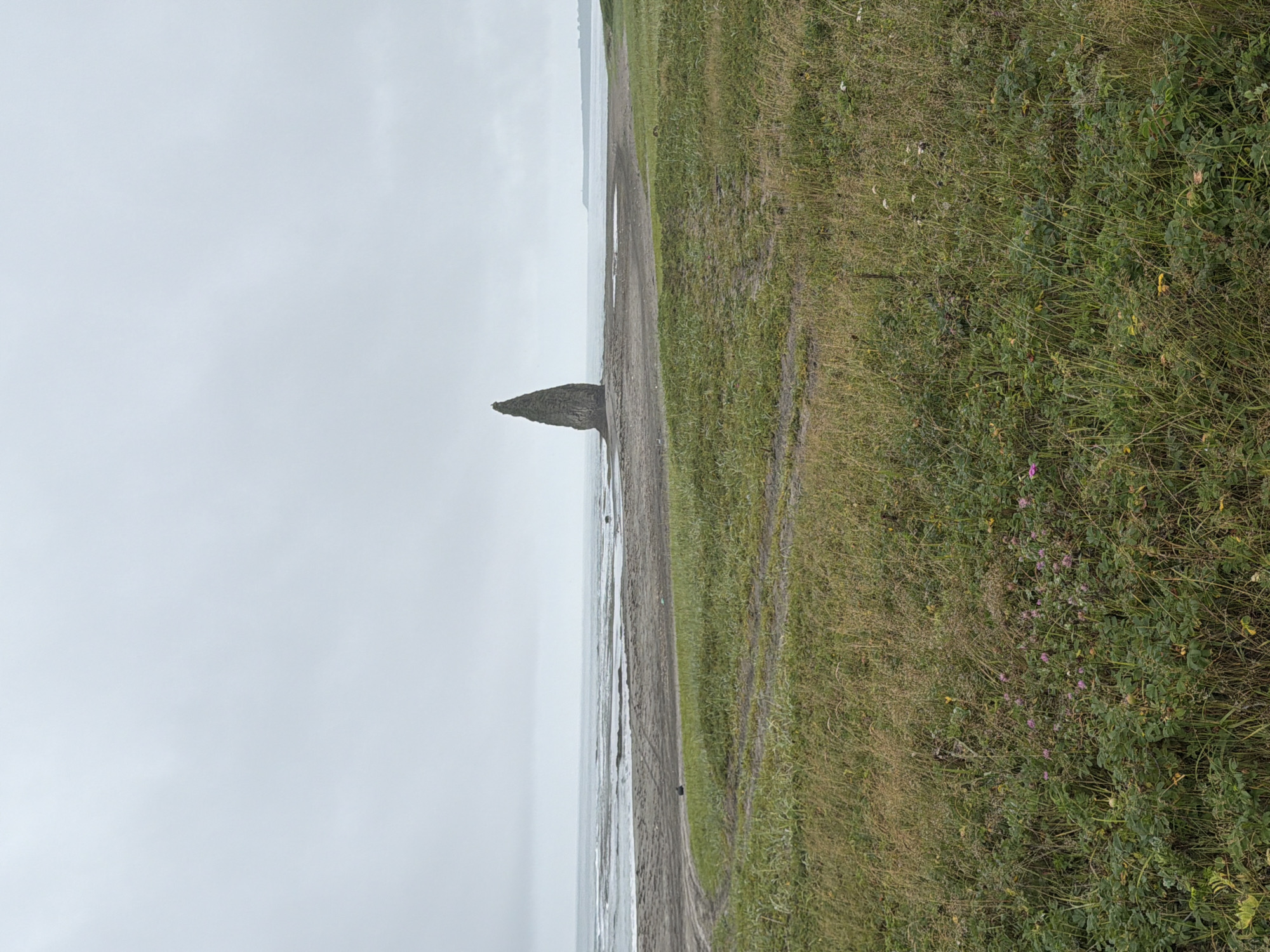 The image depicts a solitary rock formation jutting out of the sea off a sandy beach. The sky is overcast with a muted grey tone. In the foreground, a grassy field with scattered patches of wildflowers stretches towards the beach. The sandy beach appears somewhat barren, with a few tire tracks visible, suggesting occasional vehicle access. The sea is calm, with gentle waves lapping the shore. The rock formation itself is tall and pointed, resembling a needle or obelisk. The overall atmosphere is one of serene isolation and natural beauty, characteristic of coastal landscapes in remote regions.