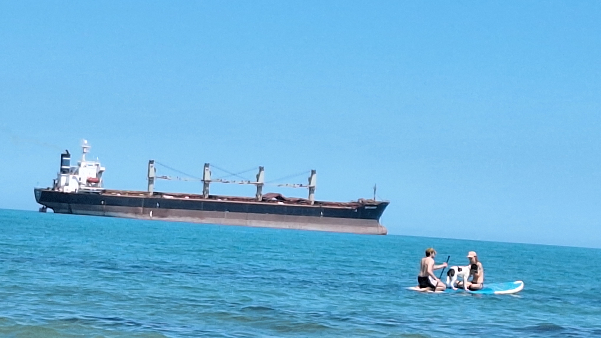 The image shows a large cargo ship in the distance, on the Black Sea, off the coast of Varna, Bulgaria. In the foreground, two people and a dog are on paddleboards in the water. The sky is clear and blue.