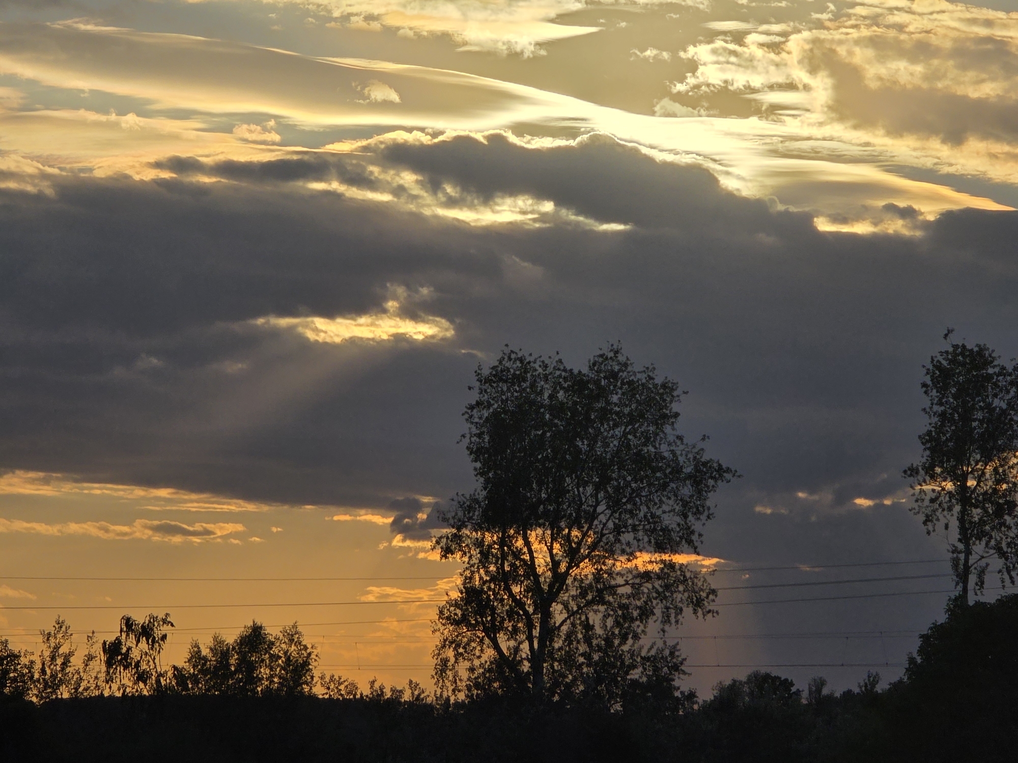A sunset scene unfolds with a dramatic sky filled with a mix of dark gray and golden-yellow clouds. Sunlight pierces through gaps in the clouds, creating streaks of light that illuminate the sky. In the foreground, the silhouettes of trees and vegetation form a dark band across the bottom of the image. Two prominent trees stand out against the sky, their branches intricate against the colorful clouds. Power lines are visible stretched horizontally across the middle ground. The overall impression is one of a serene, yet powerful natural display of light and shadow.