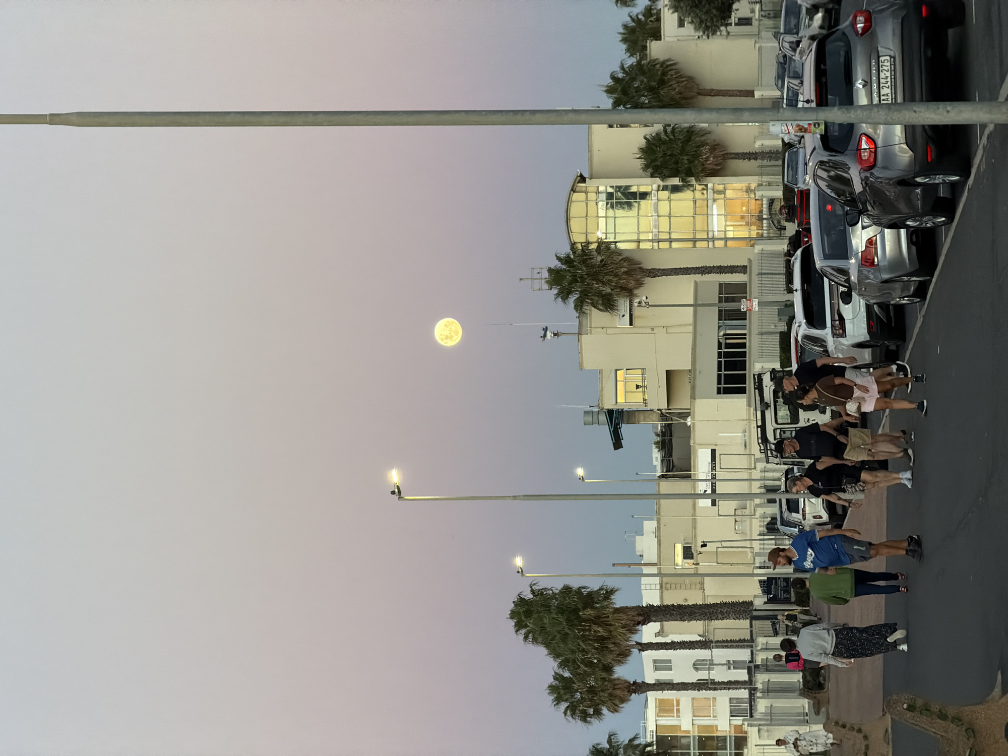 Captured in the city of Cape Town, South Africa, the image presents an evening scene featuring a full moon prominently in the sky. A row of palm trees lines the street, interspersed with street lamps. Adjacent to the street, buildings stand, a parking lot filled with cars. A group of people can be seen walking along the sidewalk.