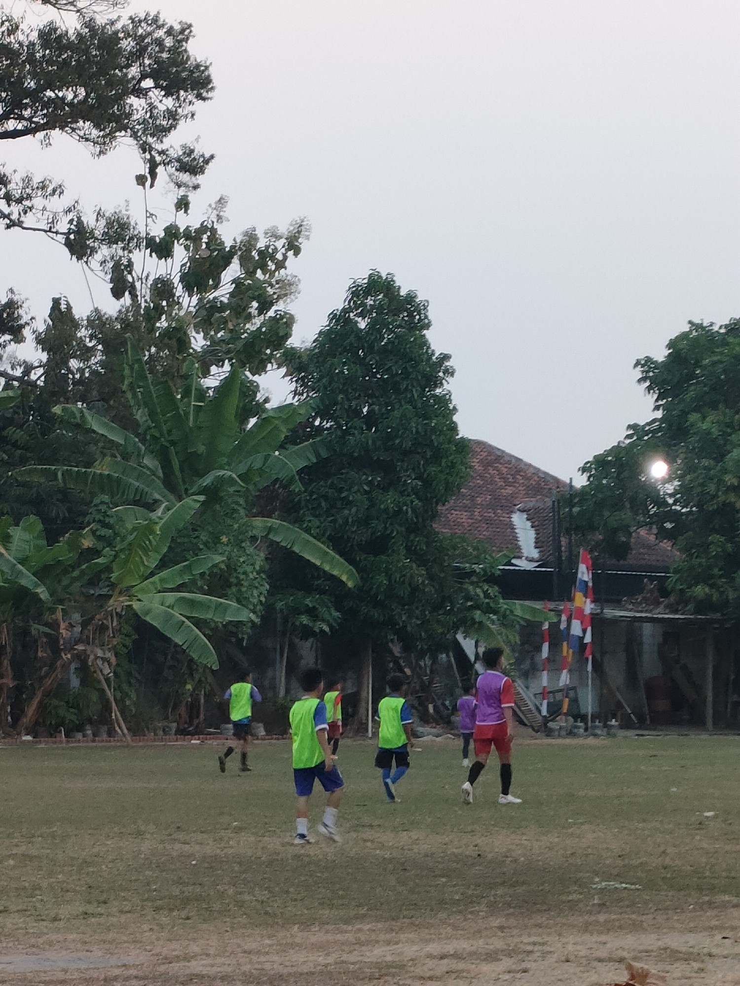 The image depicts a group of young boys playing soccer on a grassy field in Banguntapan, Indonesia. The scene appears to be captured during daylight, possibly late afternoon or early morning, given the soft lighting. The field is somewhat uneven and sparsely covered with grass, with some areas showing bare soil. In the background, lush green trees, including banana trees with their large leaves, dominate the landscape. Behind the trees, a rustic-looking building with a terracotta tile roof is visible. A few colorful flags, red and white, are planted near the building. Several children, dressed in athletic attire, are actively engaged in the game. Most are wearing bright, contrasting vests over their t-shirts, suggesting they are part of a practice session or a casual match. One boy in the foreground is wearing a lime green vest and blue shorts, while another further back is in a similar green vest with darker shorts. A boy in the middle ground is wearing a purple vest over a red shirt and red shorts. The children are spread across the field, some in motion, indicating they are running or kicking a ball, though the ball itself is not clearly visible. The overall atmosphere suggests a relaxed, outdoor recreational activity within a semi-rural or suburban setting in Banguntapan.