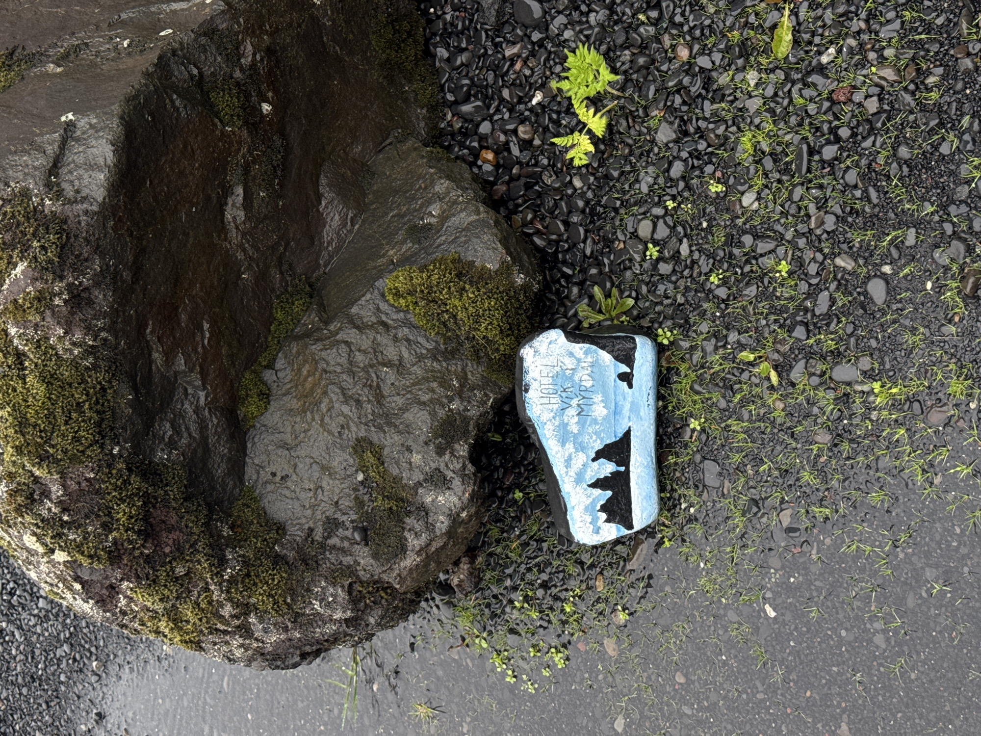 The image shows a scene in Vik, Iceland, featuring a large, moss-covered rock situated near smaller black stones and sparse green vegetation. Adjacent to the rock, a painted rock with the inscription "Hotel Vik i Myrdal" rests on the ground. The ground appears wet, possibly from rain. There are no people visible in the image.